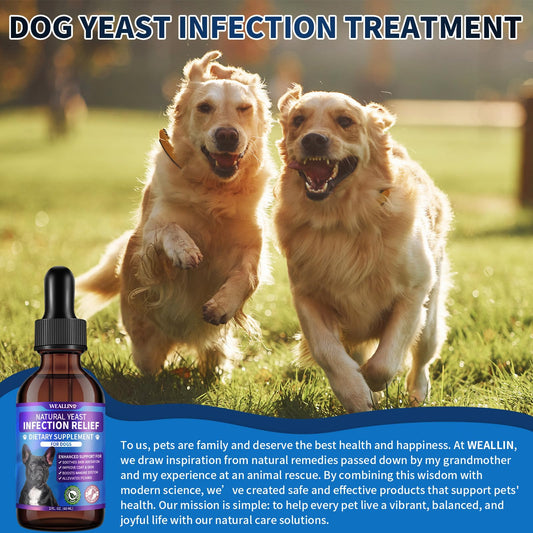 Natural Yeast Infection Treatment for Dogs | Probiotic-Powered Drops with 8-Herbal Blend | Supports Skin, Ears, Allergy Relief | Dog Yeast Infection Treatment Oral Supplement | Bacon-Flavored