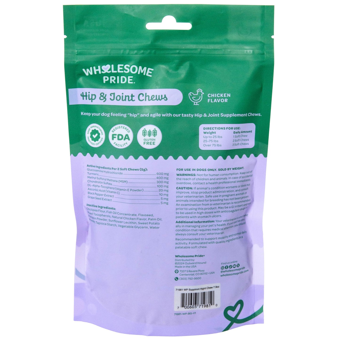 Wholesome Pride Hip & Joint Supplement for Dogs – 90 Soft Chews – Glucosamine, Chondroitin, MSM & Turmeric – Mobility Support & Arthritis Relief for Growing, Adult & Senior Dogs