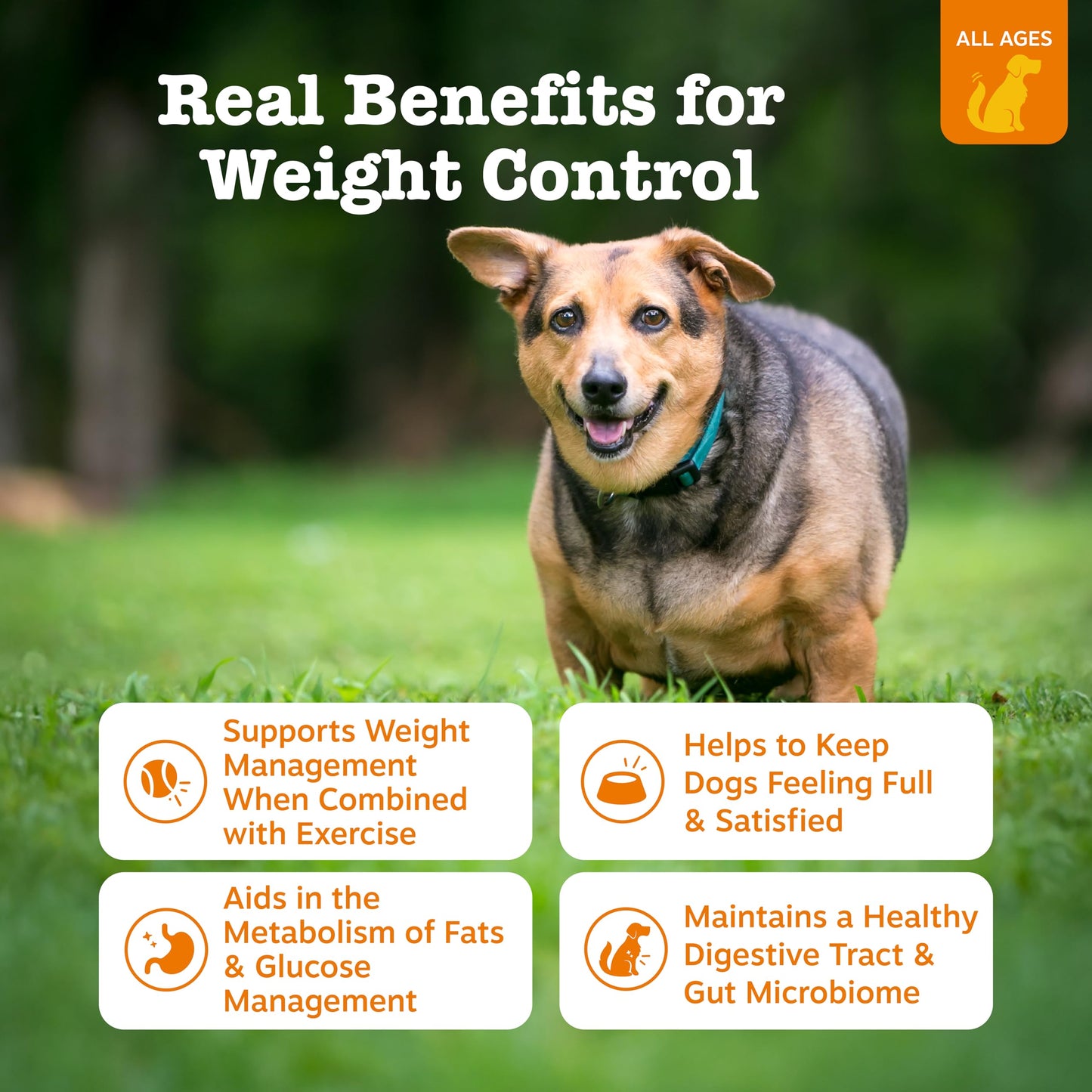 Zesty Paws Weight Management Bites for Dogs - Veterinarian Formulated - Metabolism & Appetite Control - L-Carnitine, Fiber, Postbiotics & B Vitamins - Healthy Weight Dog Supplement - 90 Count