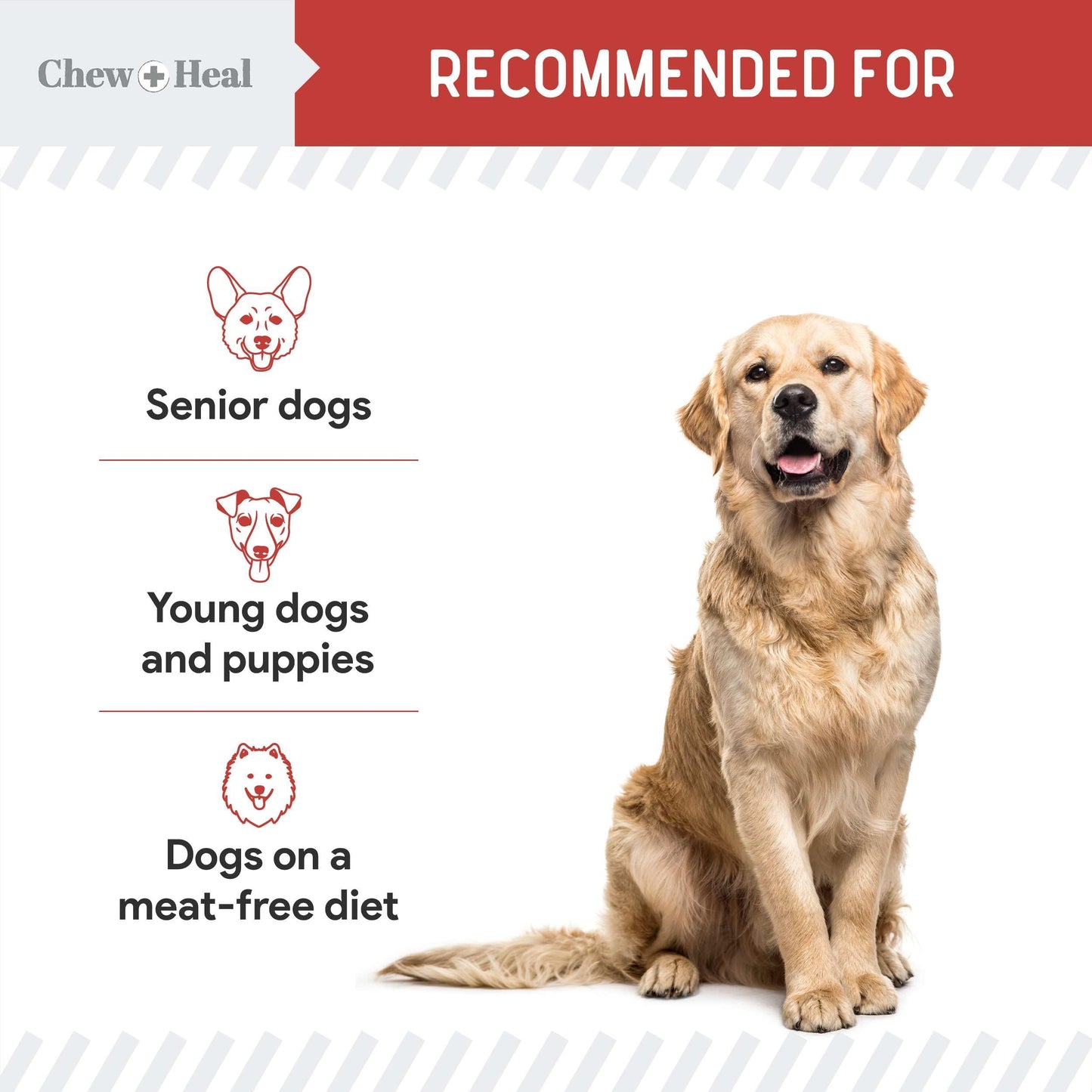 Chew + Heal Labs Dog Salmon Jerky Treats with Cognitive Support - 5 oz of Wild Caught Salmon Jerky Dog Treat - Made with Gingko Biloba, Blueberries, Cranberries, Pumpkin, and More - Made in The USA