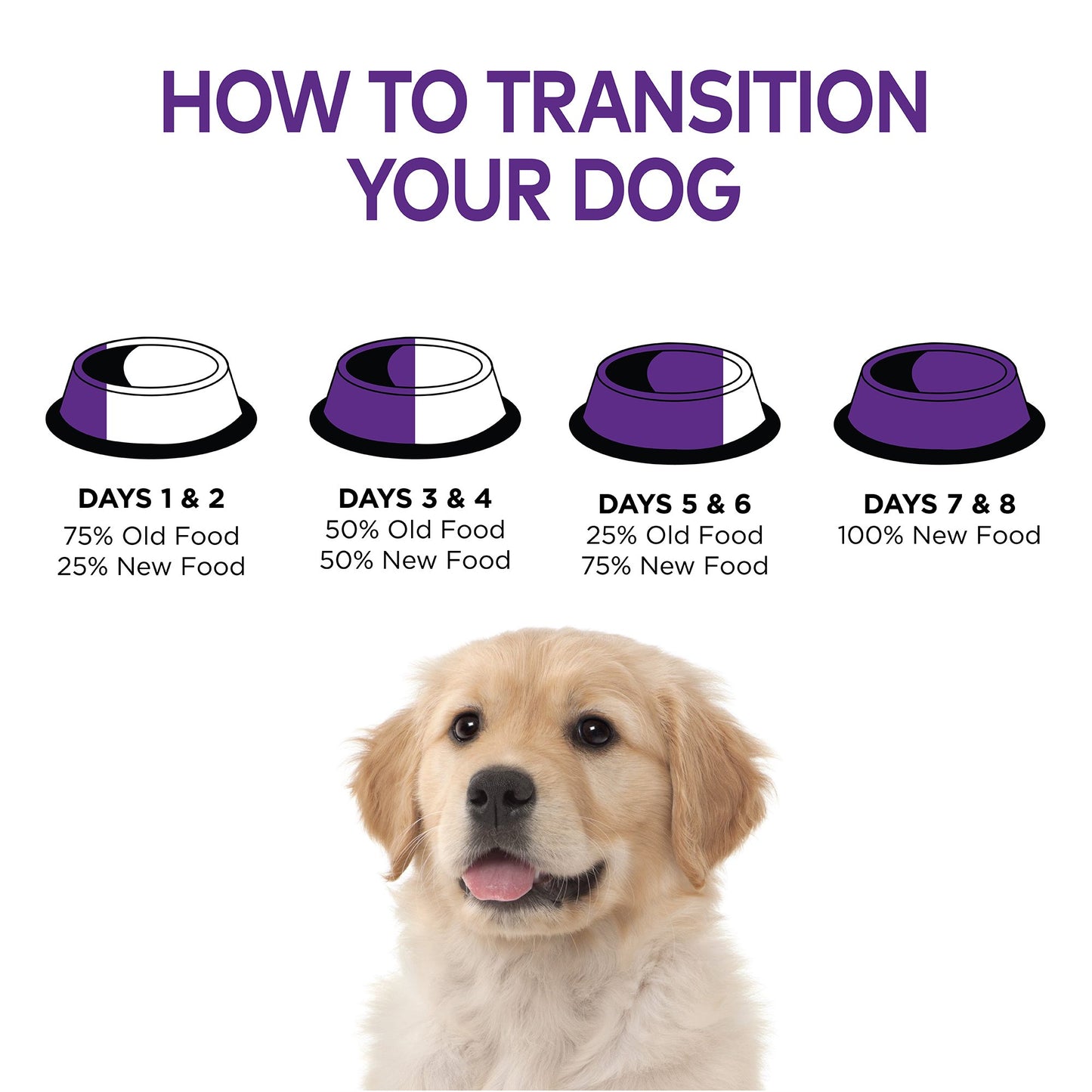 Wellness Natural Pet Food Complete Health Natural Dry Large Breed Puppy Food, Chicken, Salmon & Rice, 30-Pound Bag