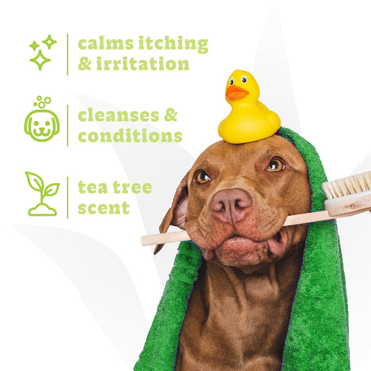 Espree Intense Itch Relief Dog Shampoo & Conditioner, Anti Itch Shampoo for Dogs, Soothes Dog Irritated & Itchy Skin, Plant-Based Moisturizing Formula for Sensitive Skin Relief, Sulfate-Free, Gallon