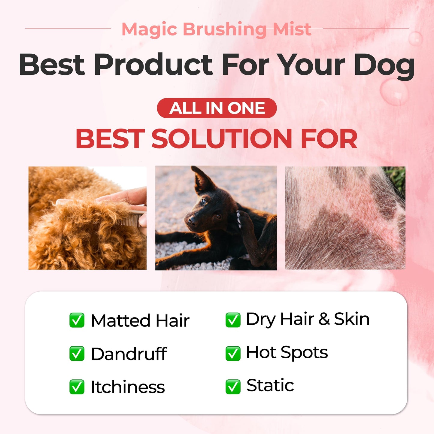 JAYU PET Grooming Essential Kit – Itch Relief Shampoo & Detangling Mist for Dogs, Hypoallergenic Grooming Set, Moisturizing, Deodorizing, Anti-Itch, Tangle-Free, Shiny Coat Care