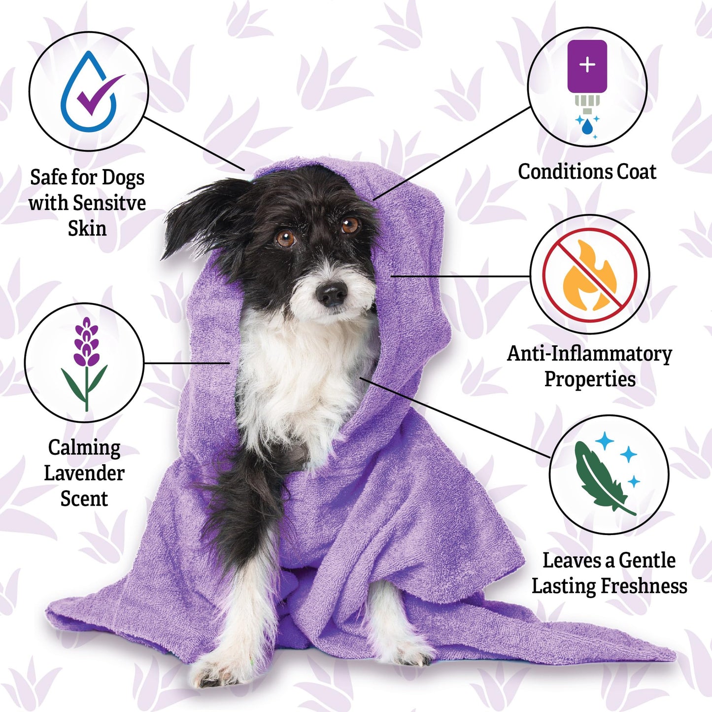 Espree Calming Lavender & Chamomile Shampoo & Conditioner, Soothes & Relaxes with Lavender, Moisturizes with Aloe Vera, Anti-Inflammatory Chamomile, Dry & Sensitive Skin, Gentle Pet Grooming, 20oz