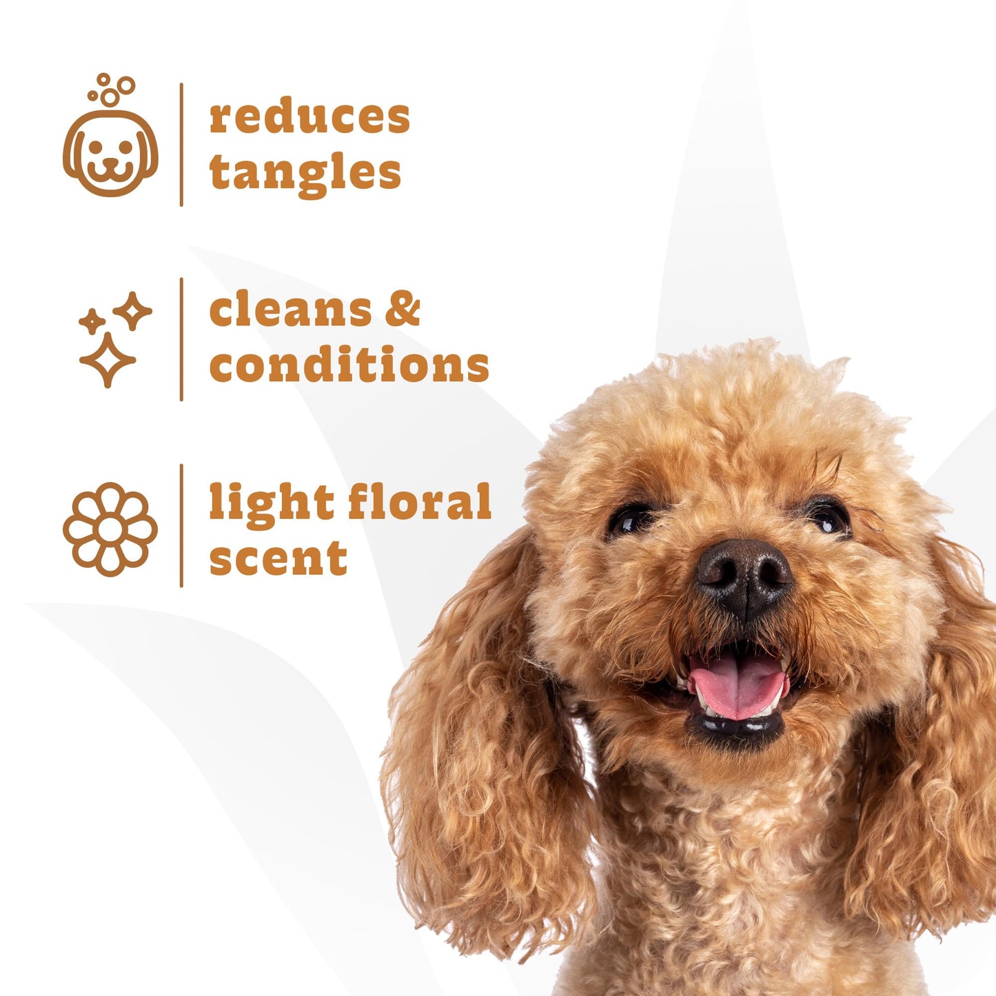 Espree Wavy Curly Coat Shampoo & Conditioner, Curl Detangling Shampoo, Perfect for Goldendoodles & Poodles, Formulated with Aloe Vera, Sulfate-Free, Paraben-Free, Harsh Chemical and Dye-Free, 20oz