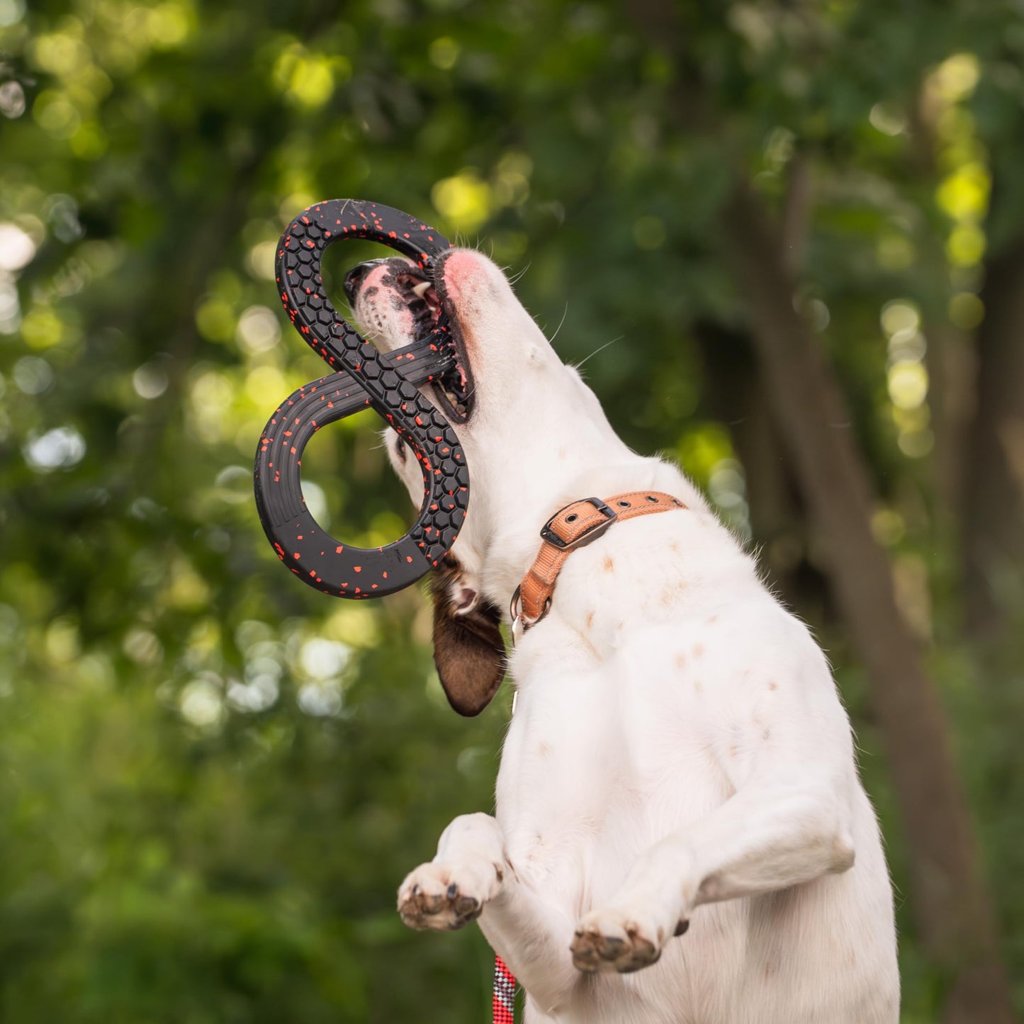 Chew King Supreme Dog Toy Collection, Medium Supreme Infinity Tug