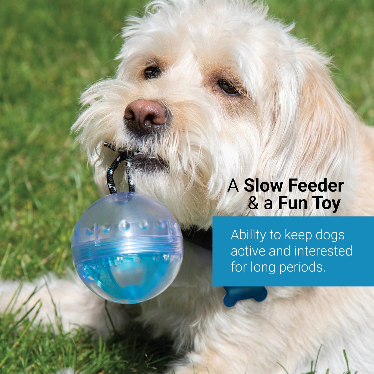 SVD.PET Dog Activity Ball: Interactive Treat Dispensing Toy, Slow Feeder, Great Gift for Dogs (Green)