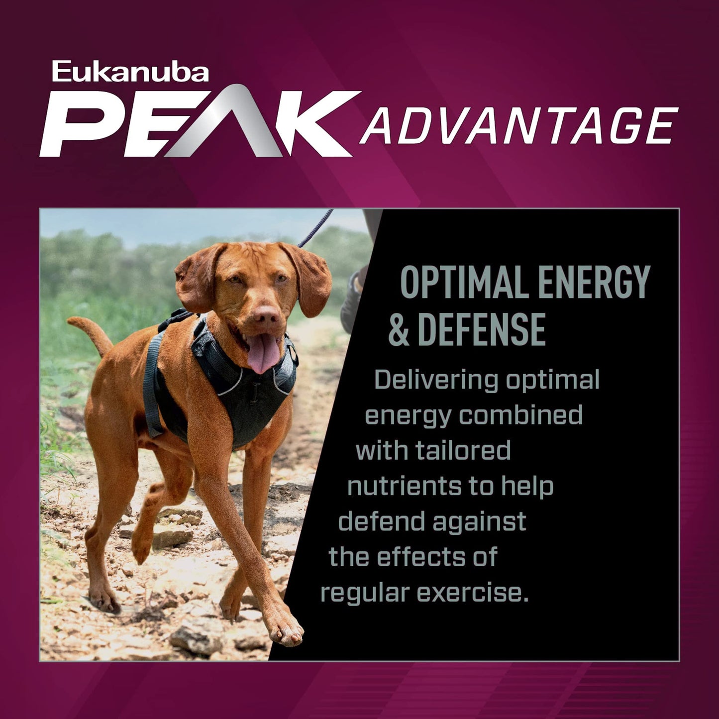 EUKANUBA™ Premium Performance 26/16 Exercise Dry Dog Food, 40 lb