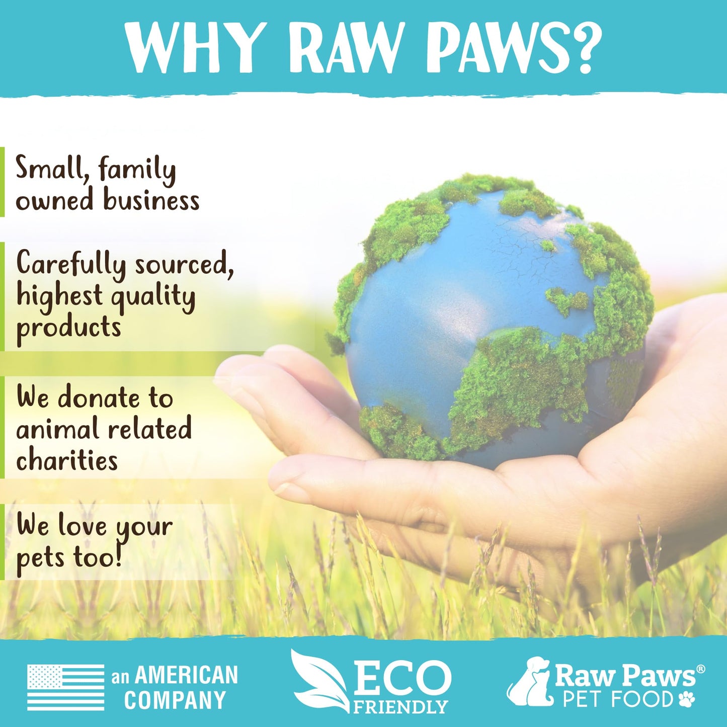 Raw Paws 10-inch Compressed Rawhide Bones for Dogs, 10-Count - Packed in USA - Long Lasting Dog Chews - Natural Pressed Rawhides - Large Dog Bones - Raw Hide for Aggressive Chewers
