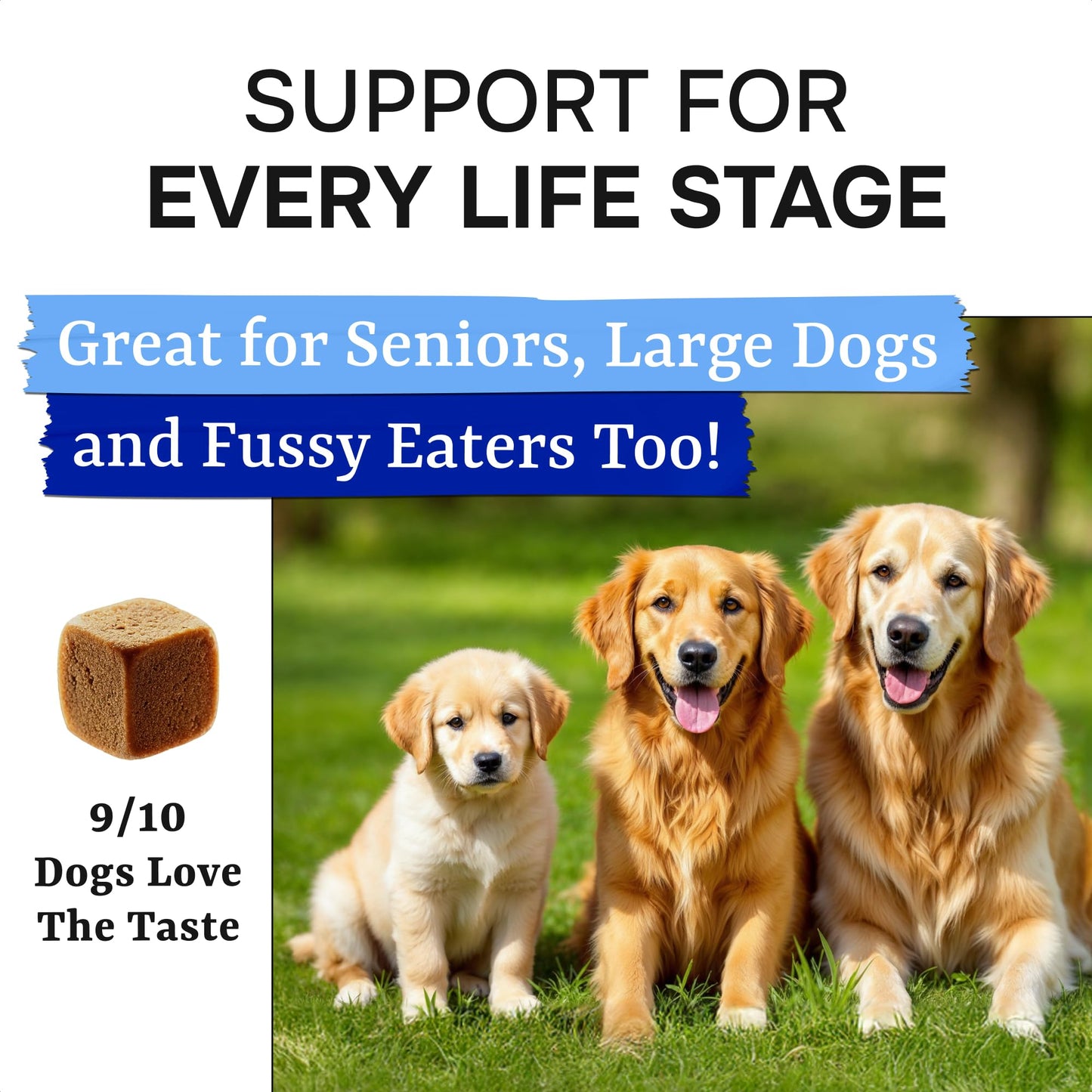 Advanced Dog Probiotics for Digestive Health & Enzymes - Diarrhea, Gas, Upset Stomach Relief & Season Allergy - Chews for Digestion - Prebiotics Fiber Supplement - Pet Probiotics for Dogs - 120 Chews