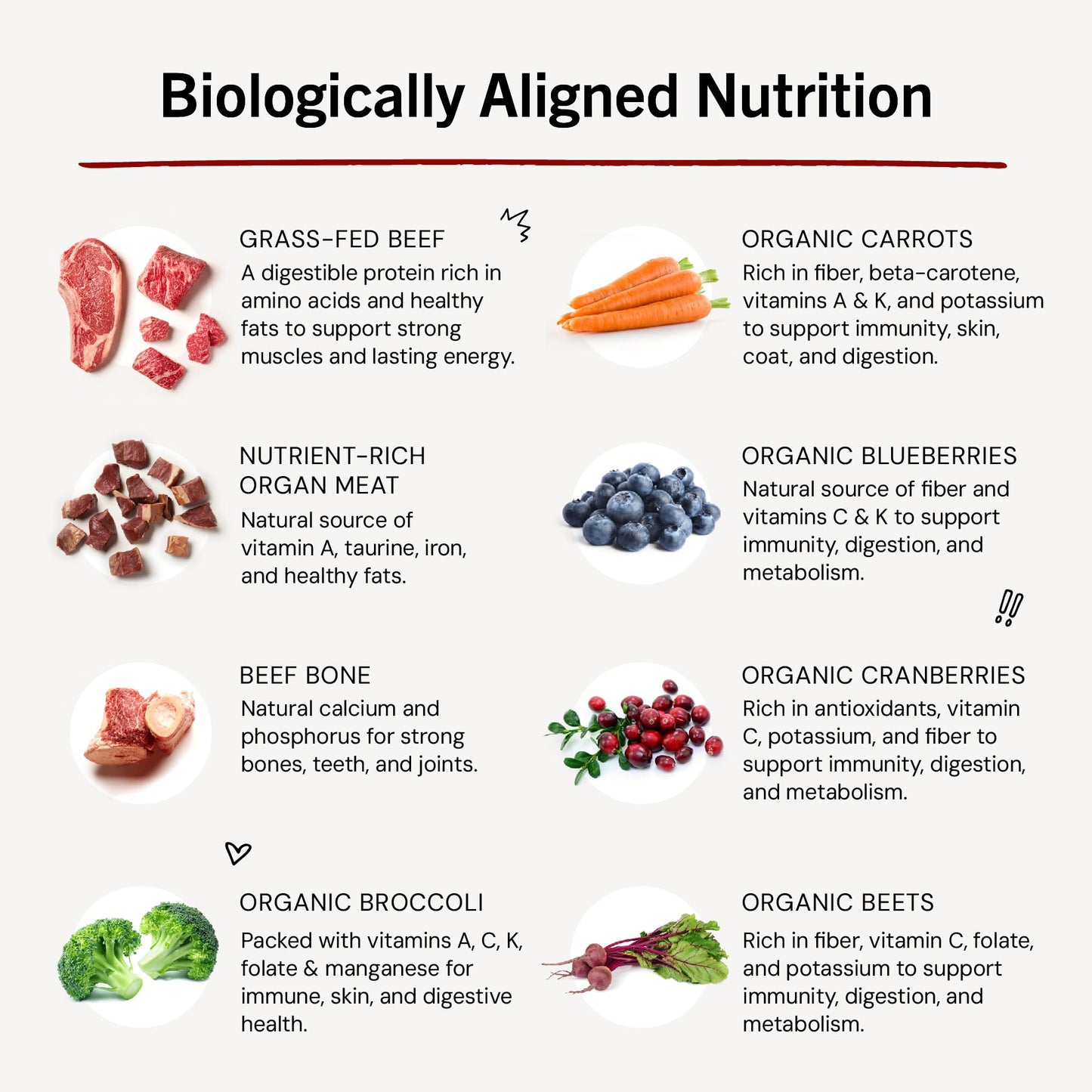 Stella & Chewy's Freeze-Dried Raw Dinner Patties - Beef Recipe - High Protein Grain-Free Puppy & Dog Food - Perfect For Picky Eaters - 5.5 oz