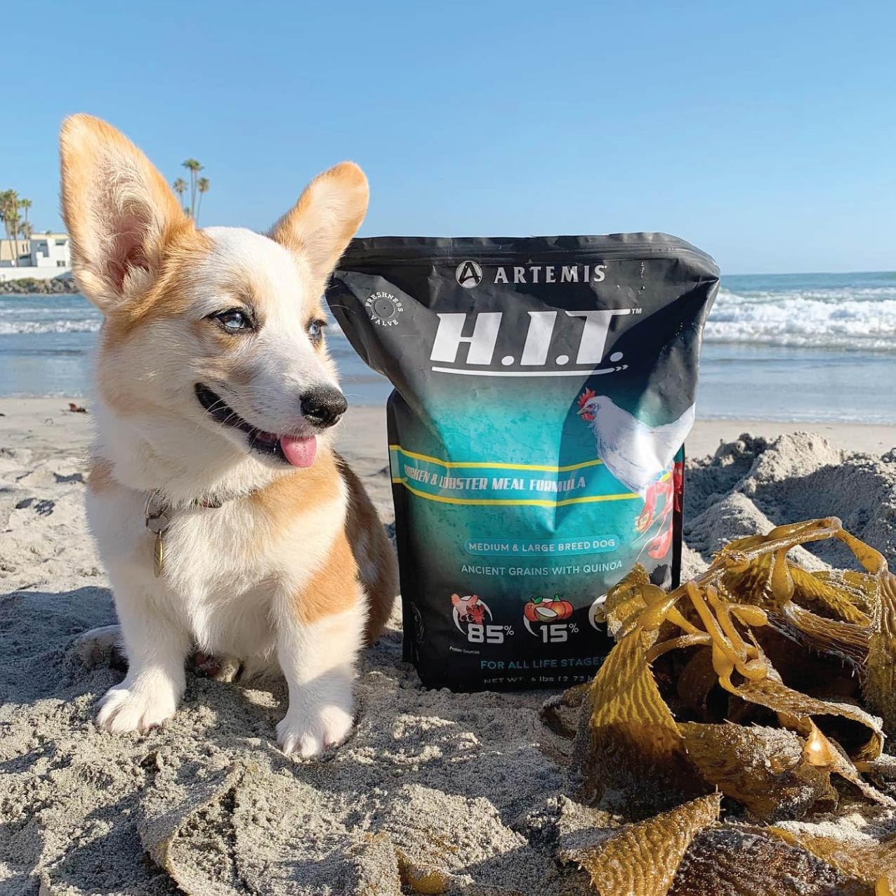 ARTEMIS Premium H.I.T. Chicken & Lobster Dry Dog Food for Medium & Large Breed Dogs (25 Lbs)