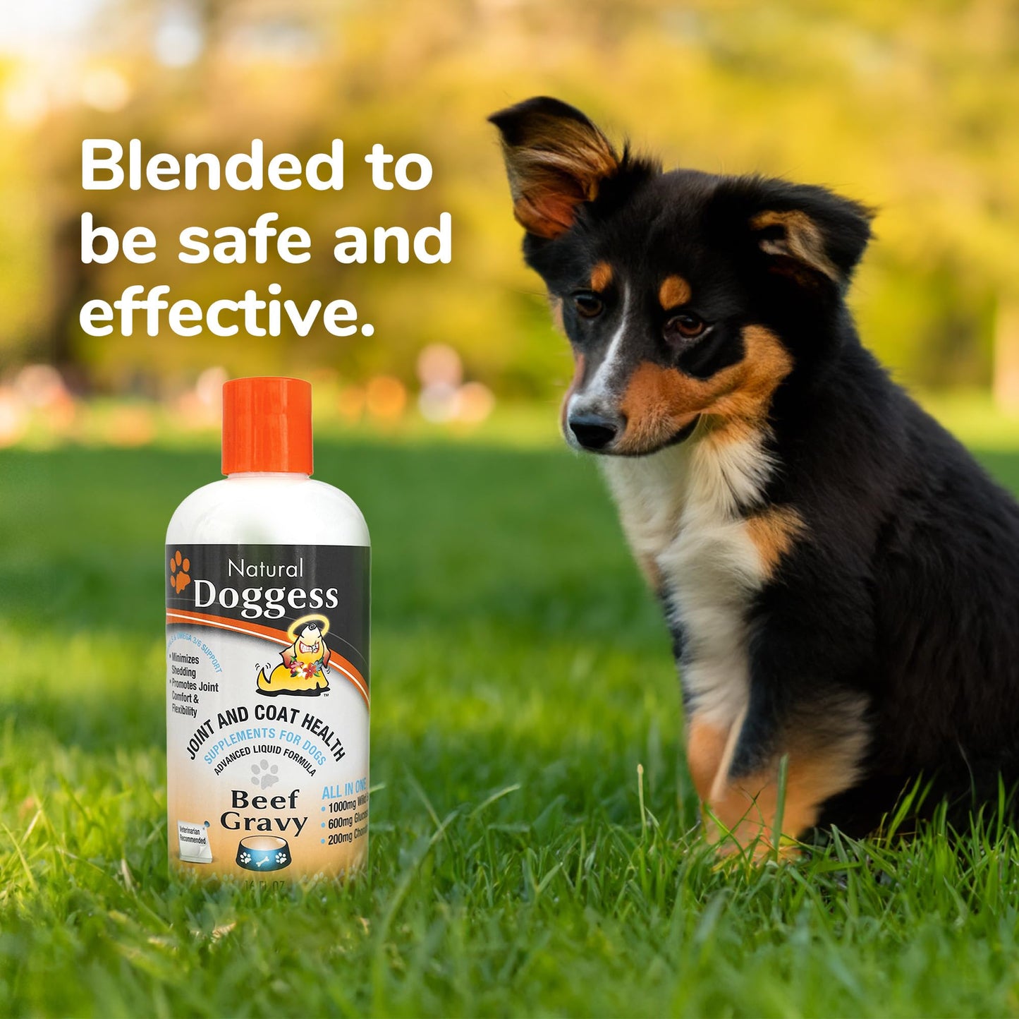 DOGGESS Dressing Best Hip and Joint Supplement for Dogs, Glucosamine & Chondroitin/Joint Health/Salmon Oil for Dogs Skin and Coat Health, Delicious Beef Gravy Flavor, 32 Oz