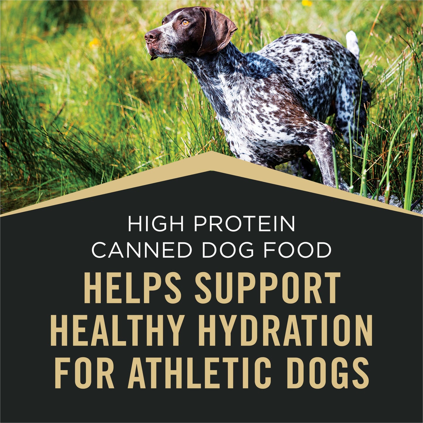 Purina Pro Plan Sport High Protein Wet Dog Food, Beef and Bison Entrée and Turkey, Duck and Quail Entrée Variety Pack - (Pack of 12) 13 oz. Cans