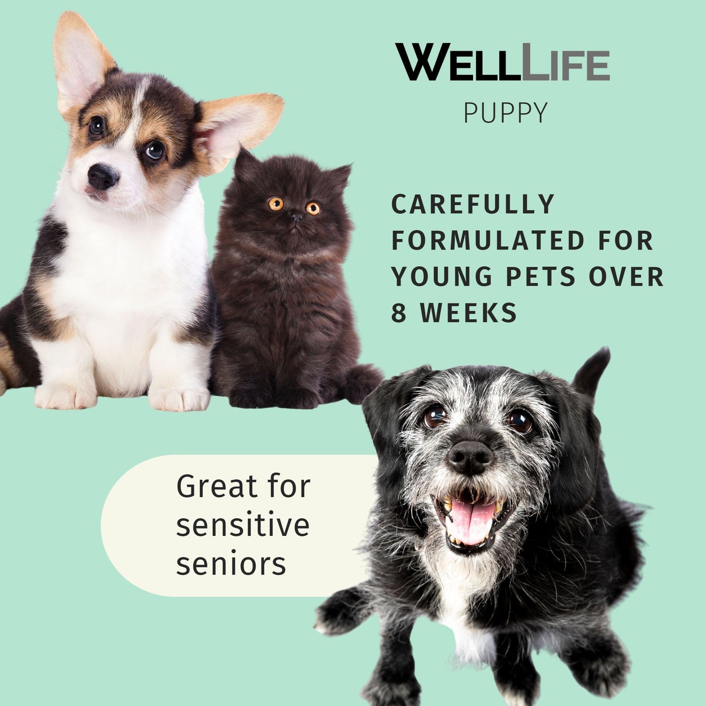 2 in 1 Conditioning Puppy Shampoo Tearless Conditioning Shampoo - Plant-Based Ingredients, Jojoba Oil, Gentle Cleansers - Suitable for All Ages and Skin Types, Dry, Itchy, Normal