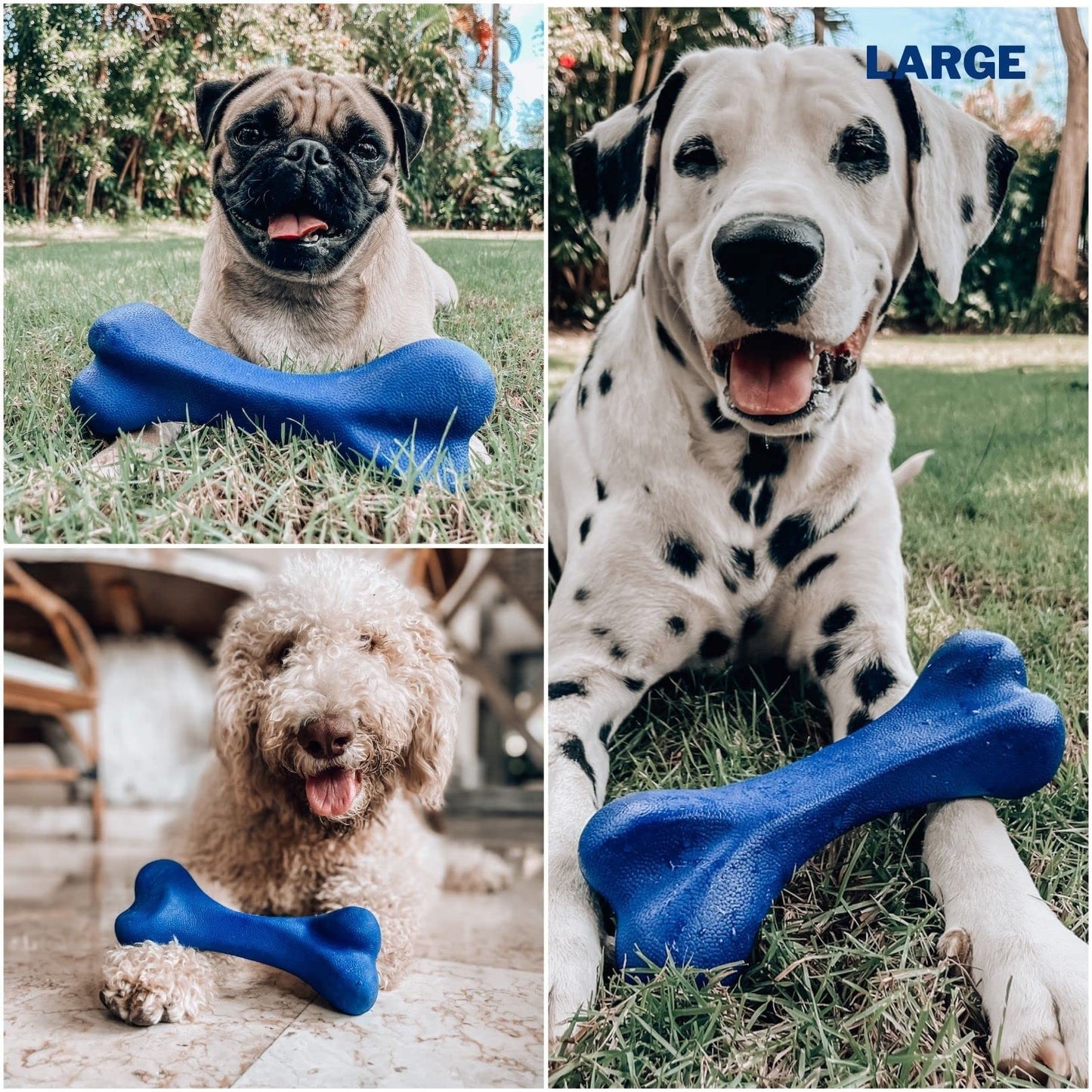 Tuff Pupper SuperChewy Tough Dog Bone Toy | Lifetime Replacement | Strong Natural Rubber | Great Dog Fetch Toy | Chew Toys for Dogs | Ultra Durable Chew Toys for Moderate Chewers | Large Breed Tested