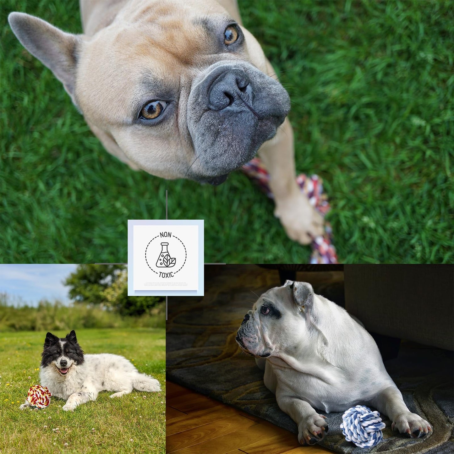 Dog Toy Balls for Small Dogs, 12 Pack Interactive Dog Toys for Small Breed 0-15 lbs, Includes Rubber, Squeak & Rope Balls