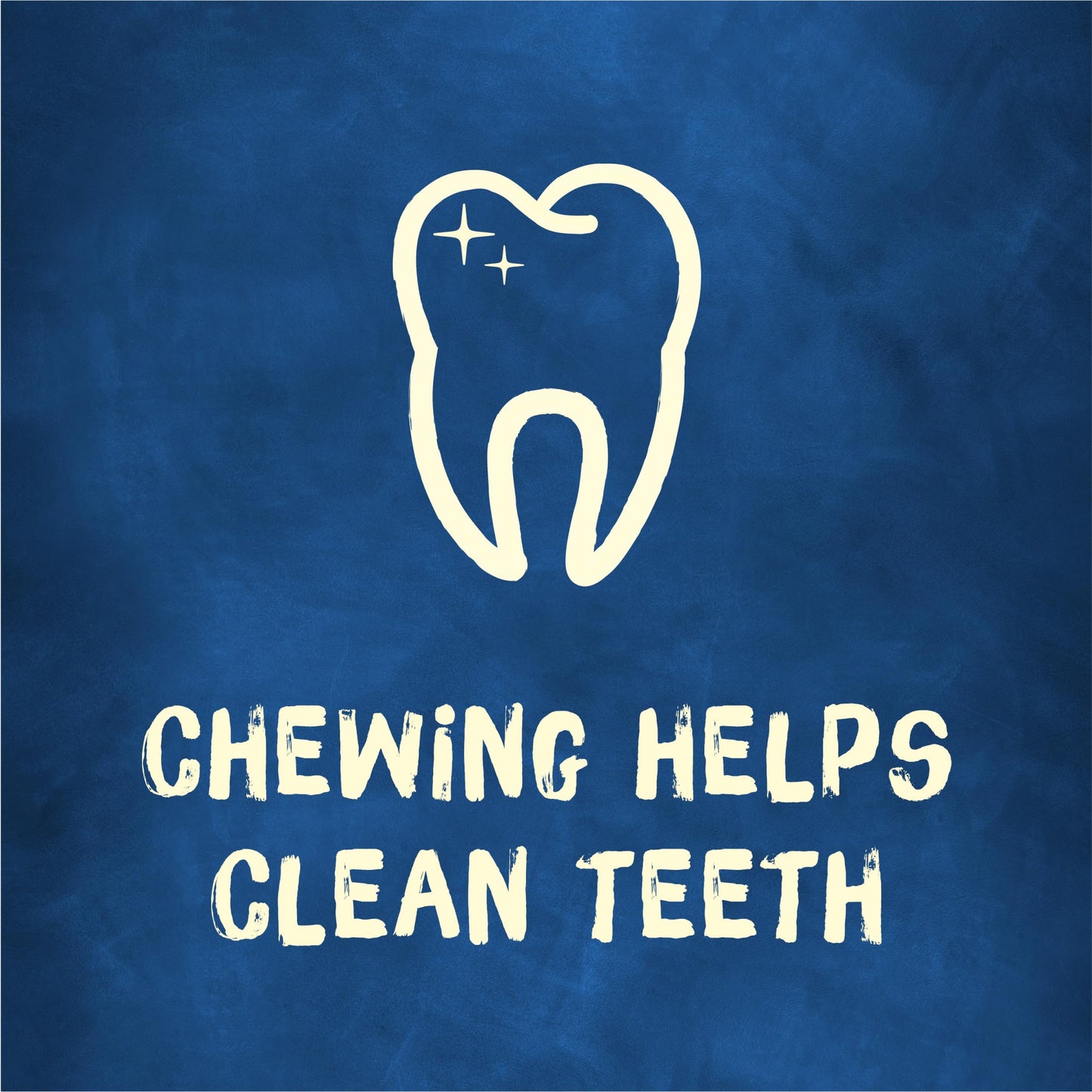 Purina Busy Bone Adult Toy Breed Dog Chew Bone Treats, Tiny - 60 ct. Pouch