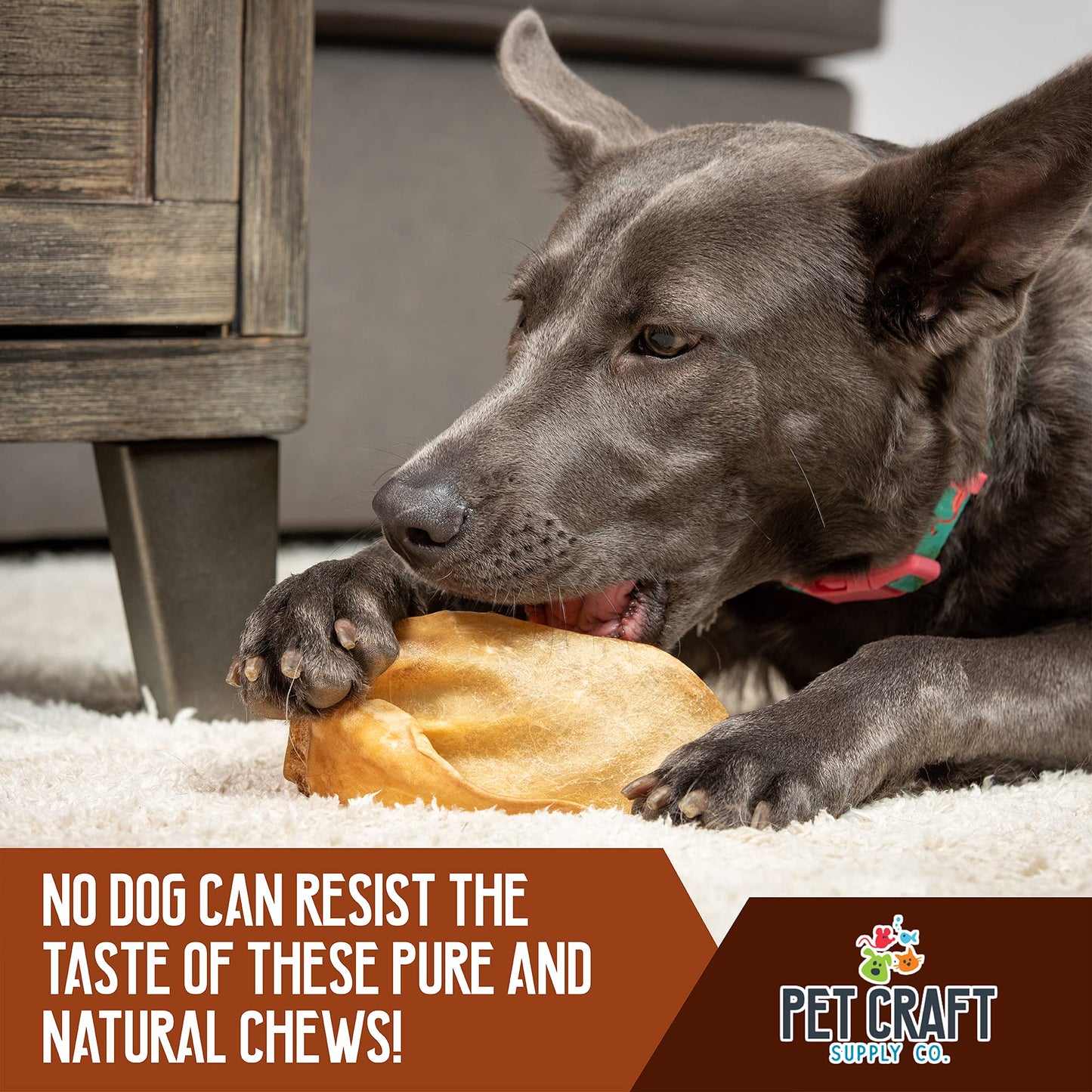 Pet Craft Supply Pure Natural Grass Fed Grain Free Water Buffalo Variety Pack of 11 Durable Tough Dog Chew for Aggressive Chewers and Puppies, Black