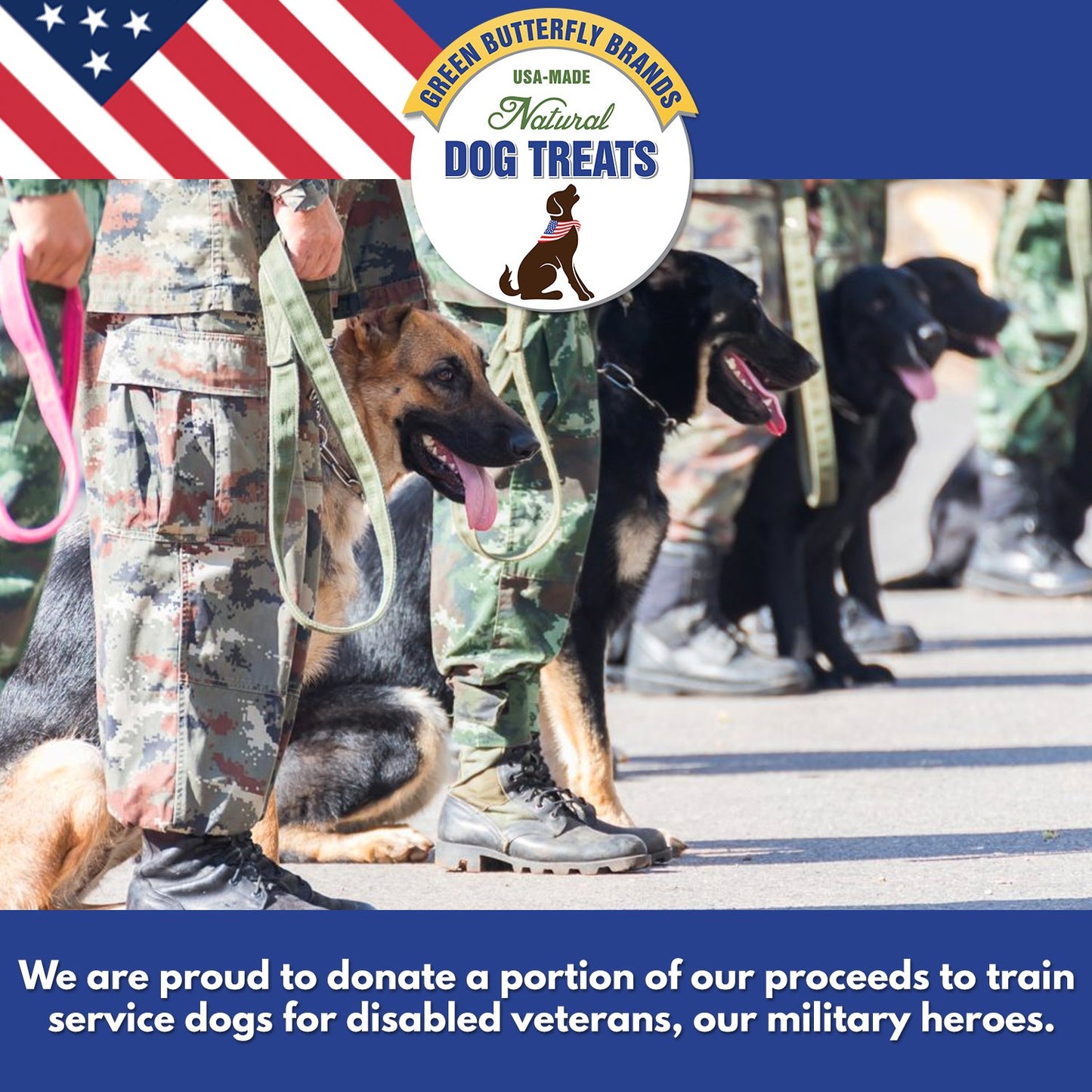 Green Butterfly Brands Premium Dog Treats Made in USA Only Natural, Meaty Beef Tips Slow Roasted, Crunchy American Beef Farm Raised Grain Free Training Treat, 8 Ounces