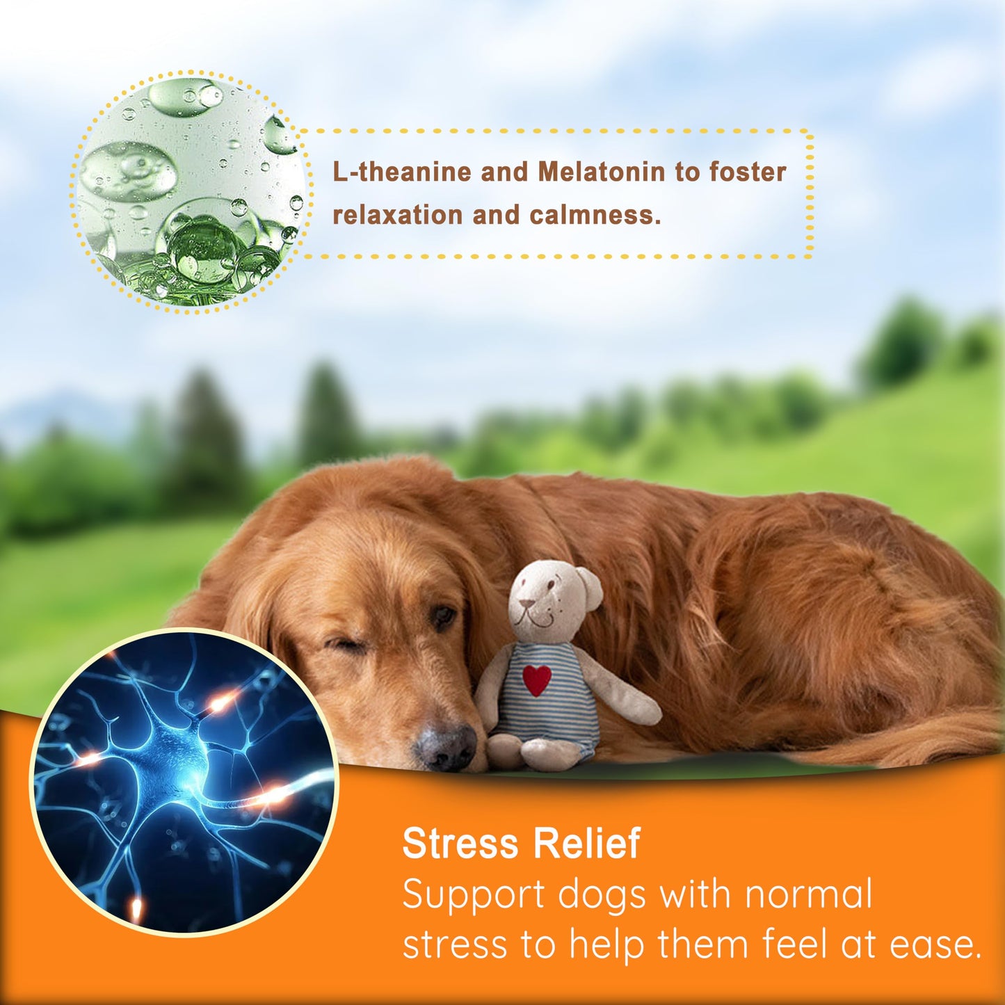Serenity Snack for Dogs - Stress Relief & Calming Chews with Colostrum Calming Complex & L-Theanine - Promotes Relaxation & Better Sleep (Chicken)
