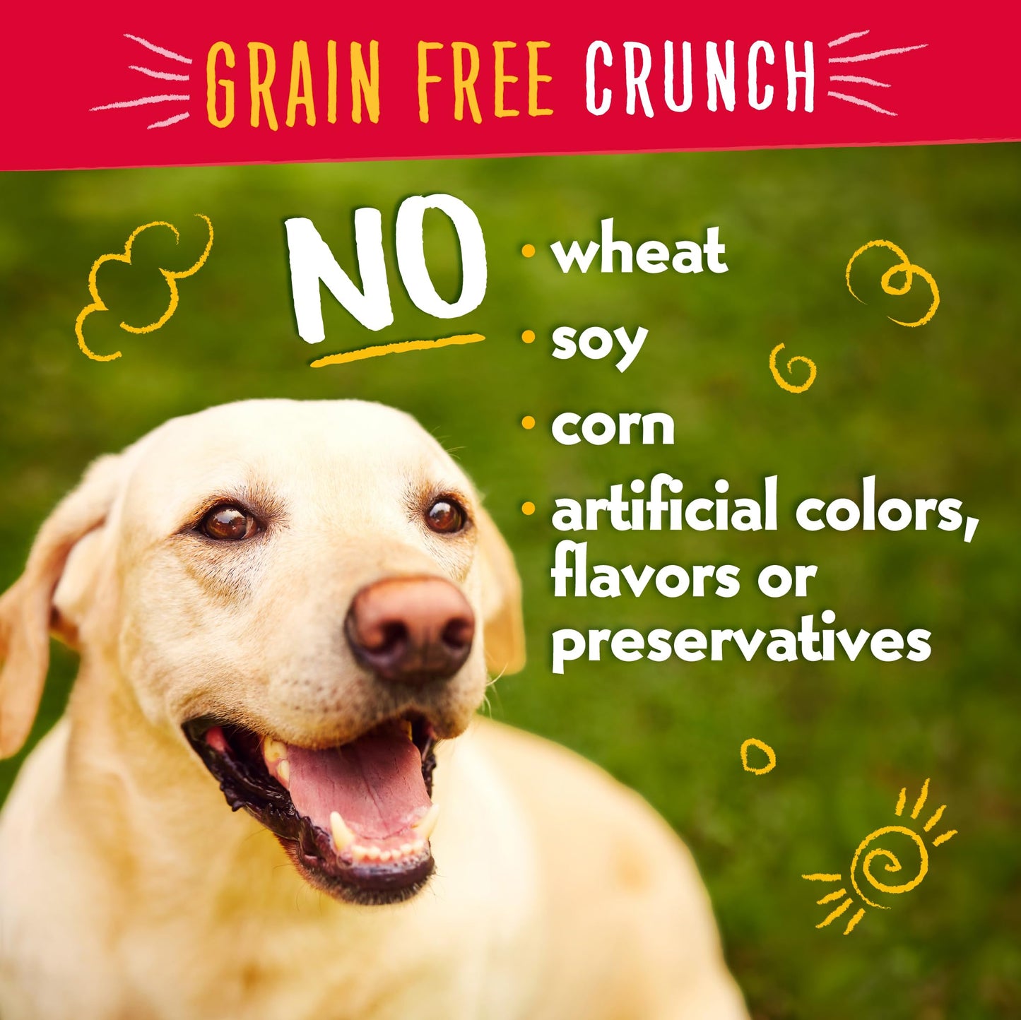 Charlee Bear Grain Free Crunch Turkey, Sweet Potato & Cranberry Dog Treats, 8 oz (2-pack) - Made in the USA, Natural Training Treats for Dogs