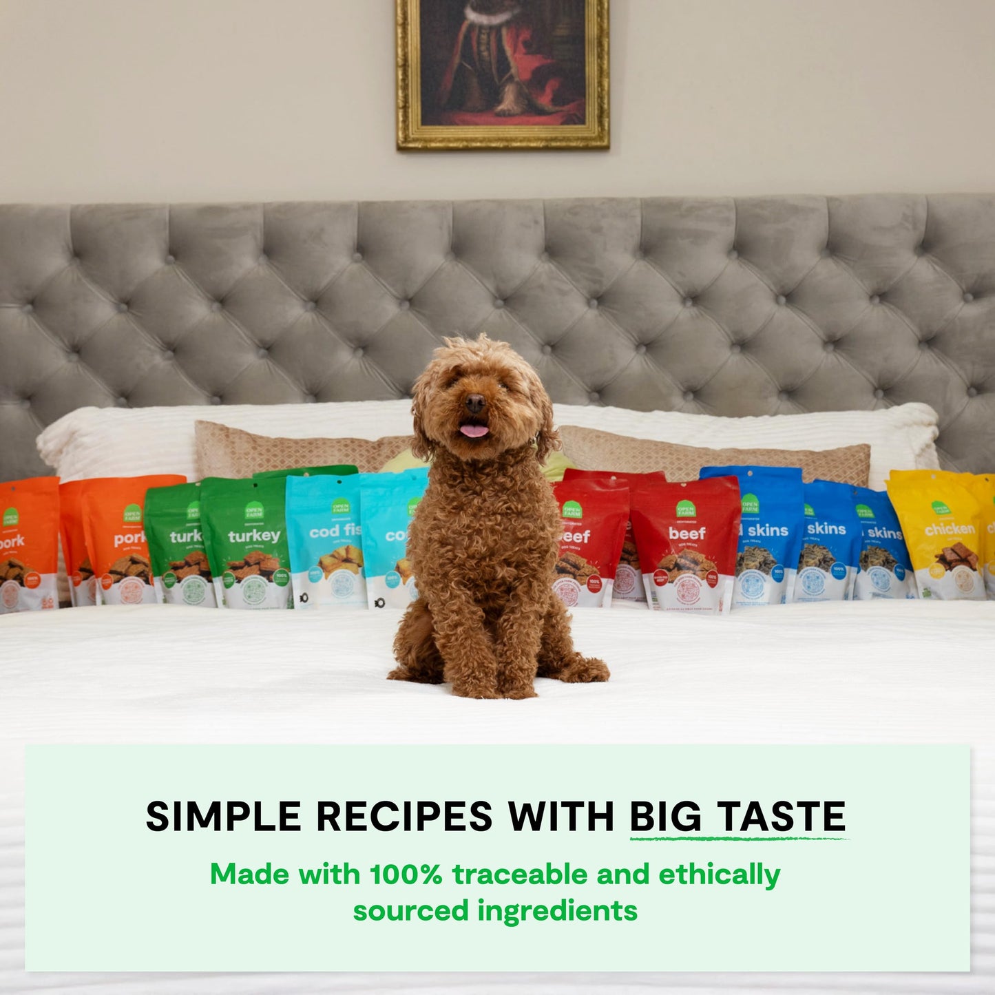 Open Farm, Dehydrated Dog Treats, High Protein & Low Carbohydrate Dog Snacks, Crunchy Texture, Single Ingredient Wild-Caught Cod Fish Recipe, 2oz Pouch