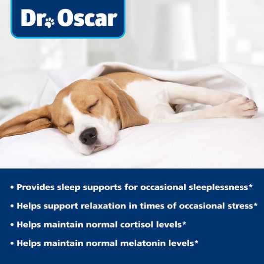 Dog Sleep Aid for Dogs, Better Than Melatonin or Calming Chews Only, Best Sleeping Pills + Melatonin, 120 Tablets, Puppy Sleep Aid, USA