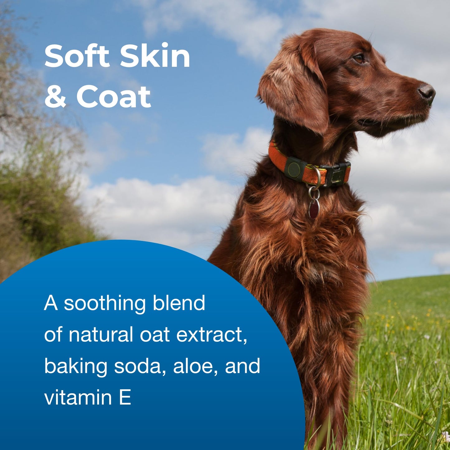 PetAg Fresh ’n Clean Oatmeal ’n Baking Soda Conditioner, Tropical Fresh Scent - 18 oz - Gently Cleans, Soothes & Deodorizes Dogs with Vitamin E & Aloe Vera - Soap Free