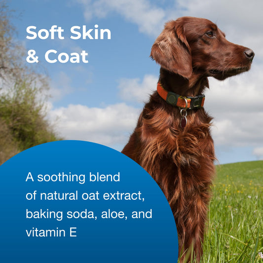 PetAg Fresh ’n Clean Oatmeal ’n Baking Soda Conditioner, Tropical Fresh Scent - 18 oz - Gently Cleans, Soothes & Deodorizes Dogs with Vitamin E & Aloe Vera - Soap Free