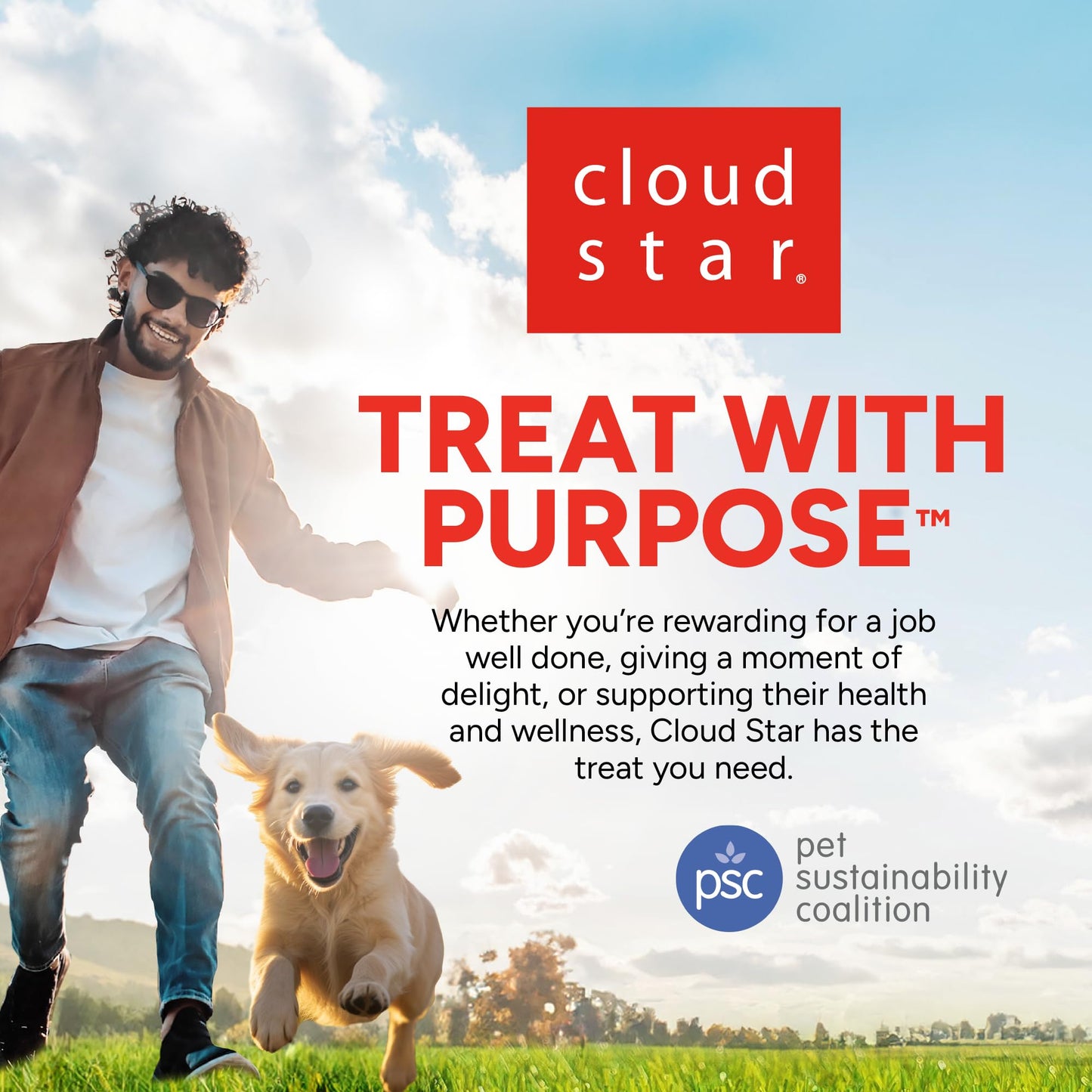 Dogswell Grain-Free Hip and Joint Chicken Grillers for Dogs, 12 oz. Model: 842185