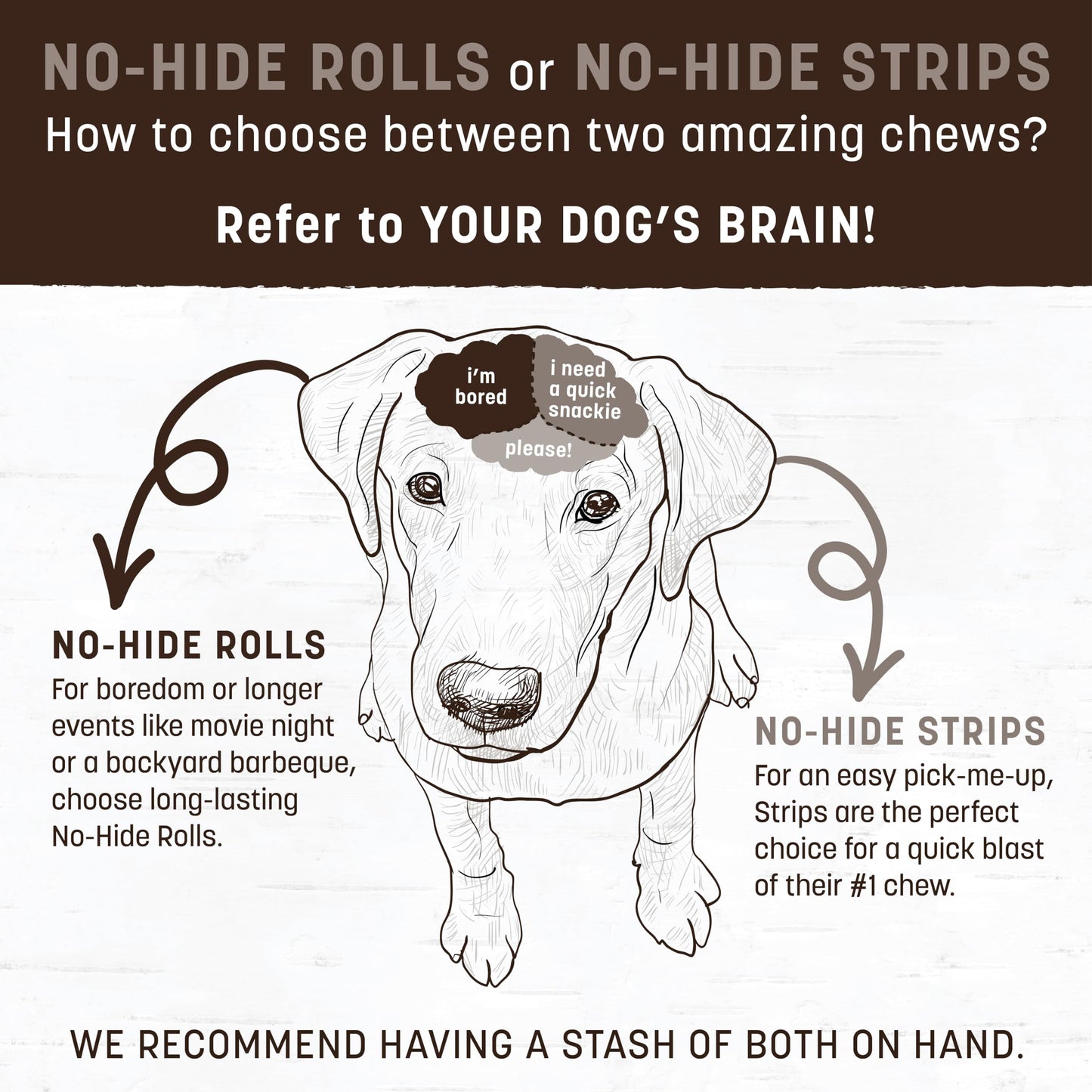 Earth Animal No Hide Medium Salmon Flavored Natural Rawhide Free Dog Chews Long Lasting Chew Sticks | Treats for Large Dogs | Great for Aggressive Chewers - 6 Count