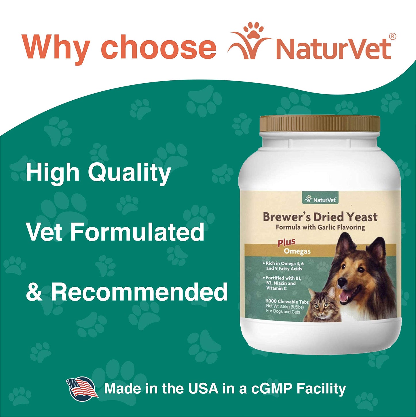 Health Extension Grain Free Salmon Little Bites (3.5 lb / 1.59 kg) - Whole Foods Ingredients Formula with Omega 3 & Probiotics for All Life Stages Dogs