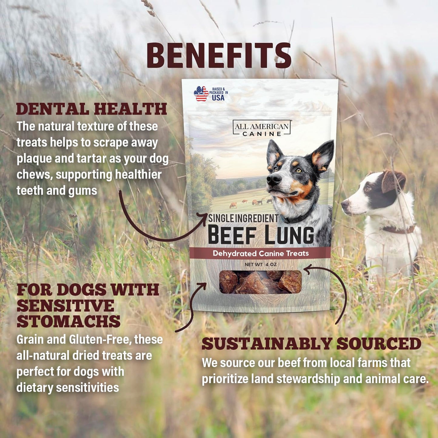 All American Canine Beef Lung Dog Treats 4oz – Single Ingredient, Dehydrated High Protein Low FatTraining Snacks – All Natural and Made in The USA