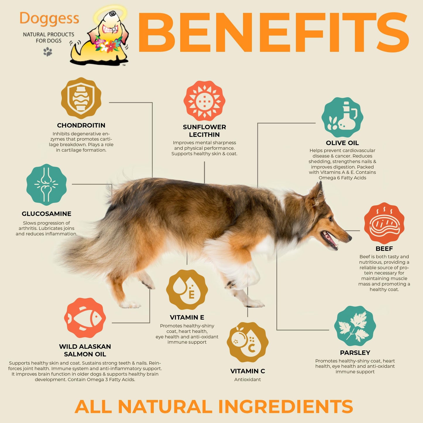 DOGGESS Dressing Best Hip and Joint Supplement for Dogs, Glucosamine & Chondroitin/Joint Health/Salmon Oil for Dogs Skin and Coat Health, Delicious Beef Gravy Flavor, 32 Oz
