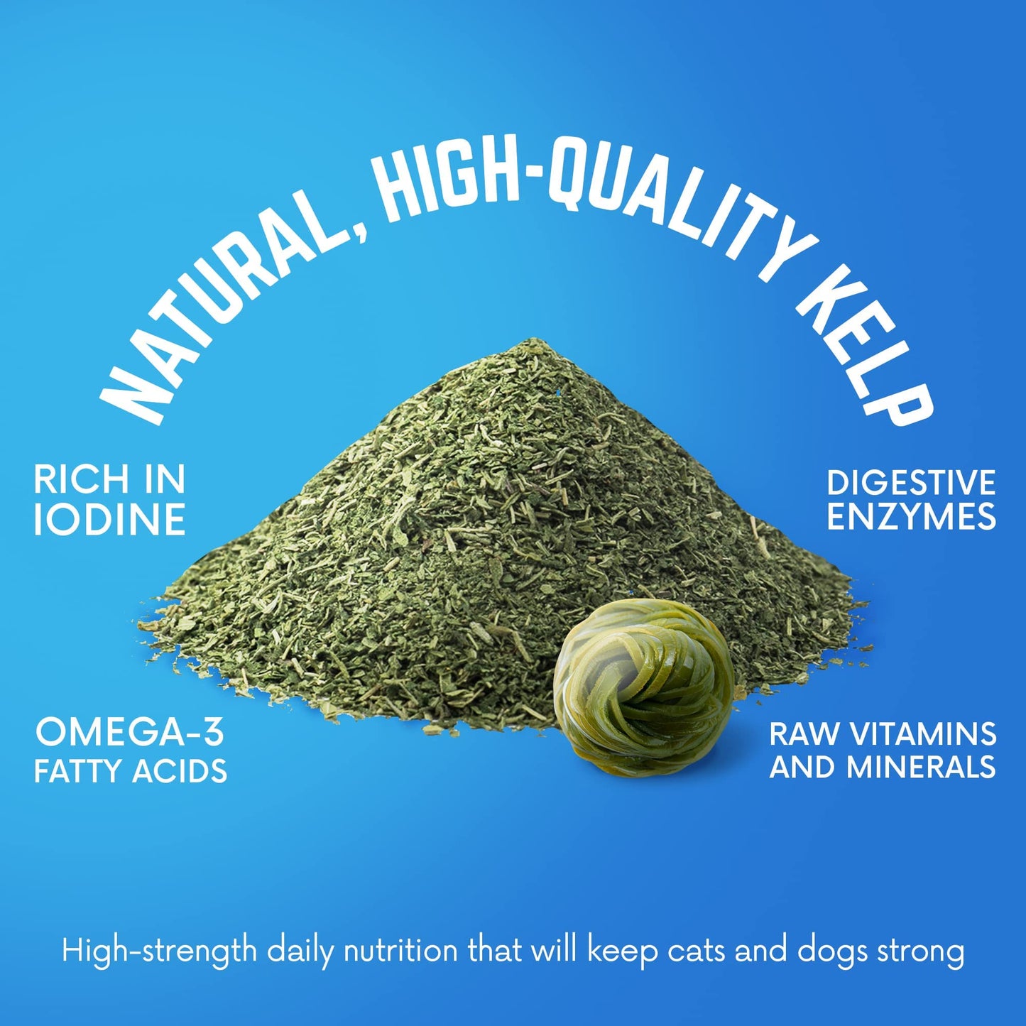 Back40Dog Complete Health Powder Bundle – Organic Sea Kelp16 oz, Grass-Fed Beef Bone Broth 6.4 oz & Organic Pumpkin Powder 8.1 oz – Thyroid, Joint & Digestive Support