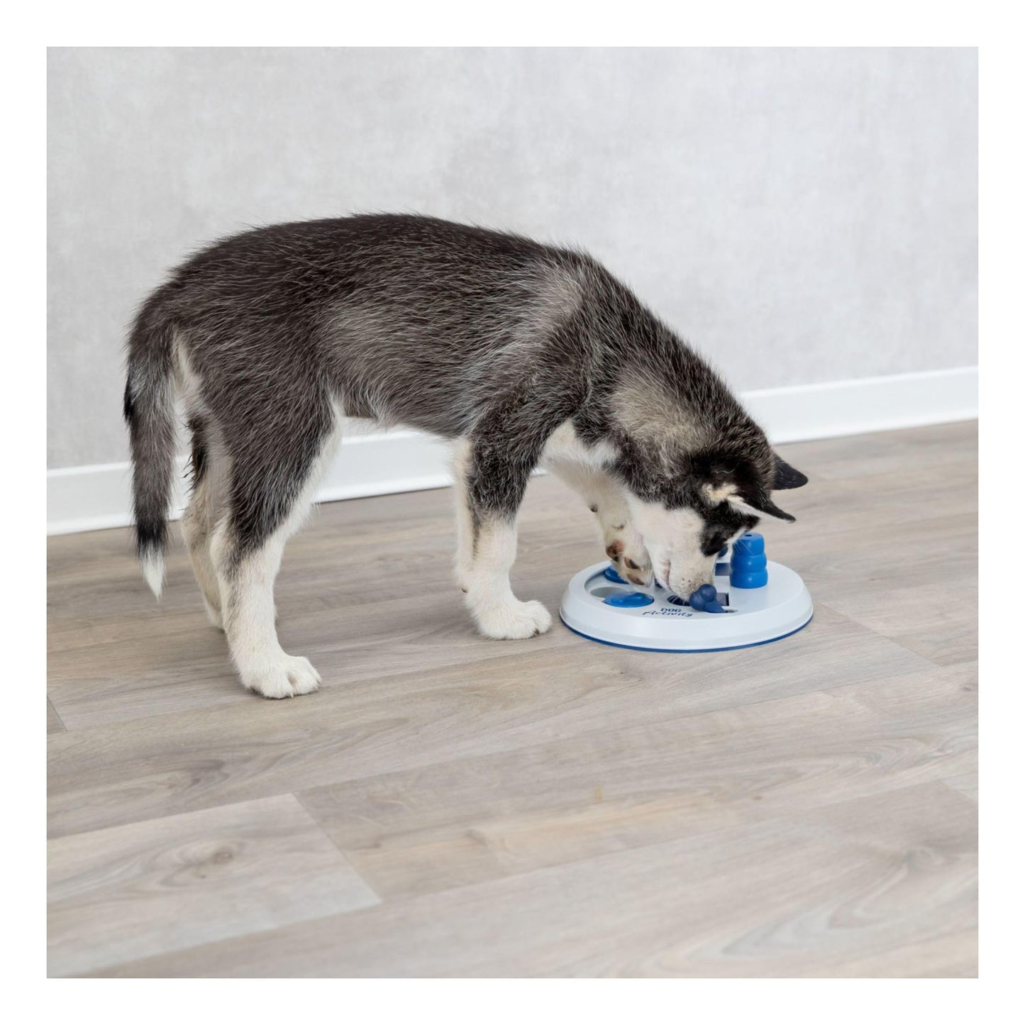 TRIXIE Flip Board Dog Enrichment Toy, Intermediate Level 2 Dog Puzzle, Interactive Treat Game for Small to Medium Breeds