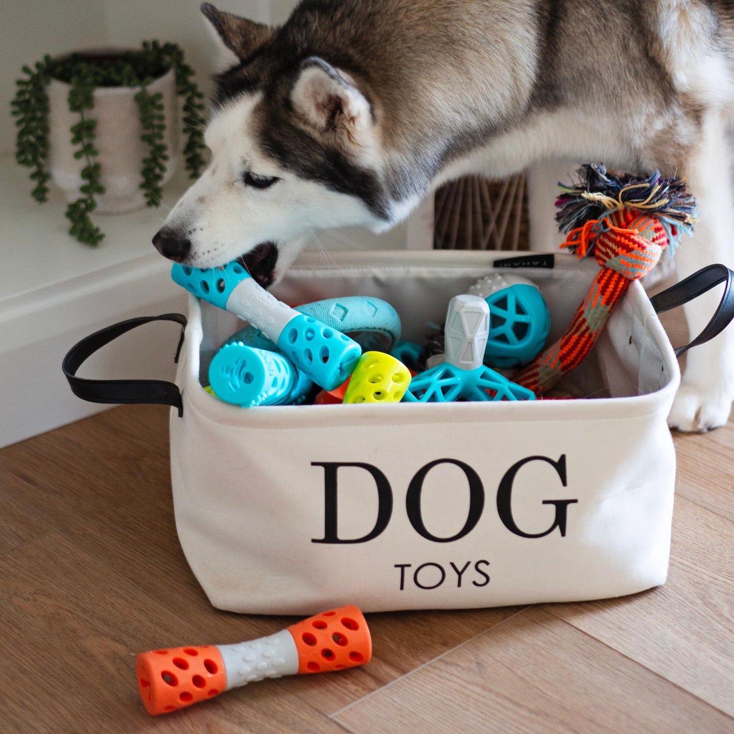 Messy Mutts Totally Pooched Toss 'n Stuff Hourglass | Interactive Treat and Squeak Toy for Dogs | Durable 7” TPR Dog Toy | Teal