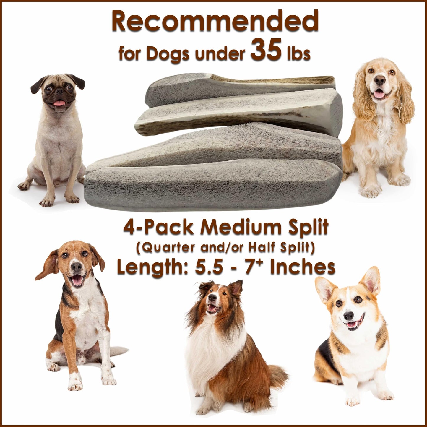 Deluxe Naturals Elk Antler Dog Chews | Long-Lasting A-Grade Premium Elk Antler Chews for Dogs from Naturally Shed Elk Antlers Collected in The USA, Split, Medium (Pack of 4)