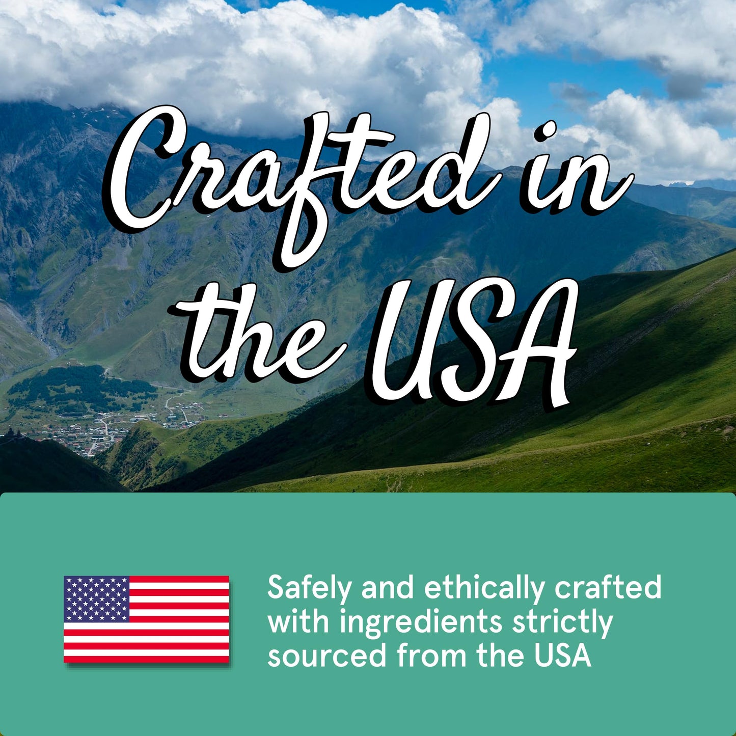 Real Meat Tiny Trainer Bites Dog Treats - 1lb of USA-Made Soft & Chewy Air-Dried Turkey Training Treats for Dogs & Puppies - All-Natural Grain-Free Dog Training Treats With Free-Range Cage-Free Turkey