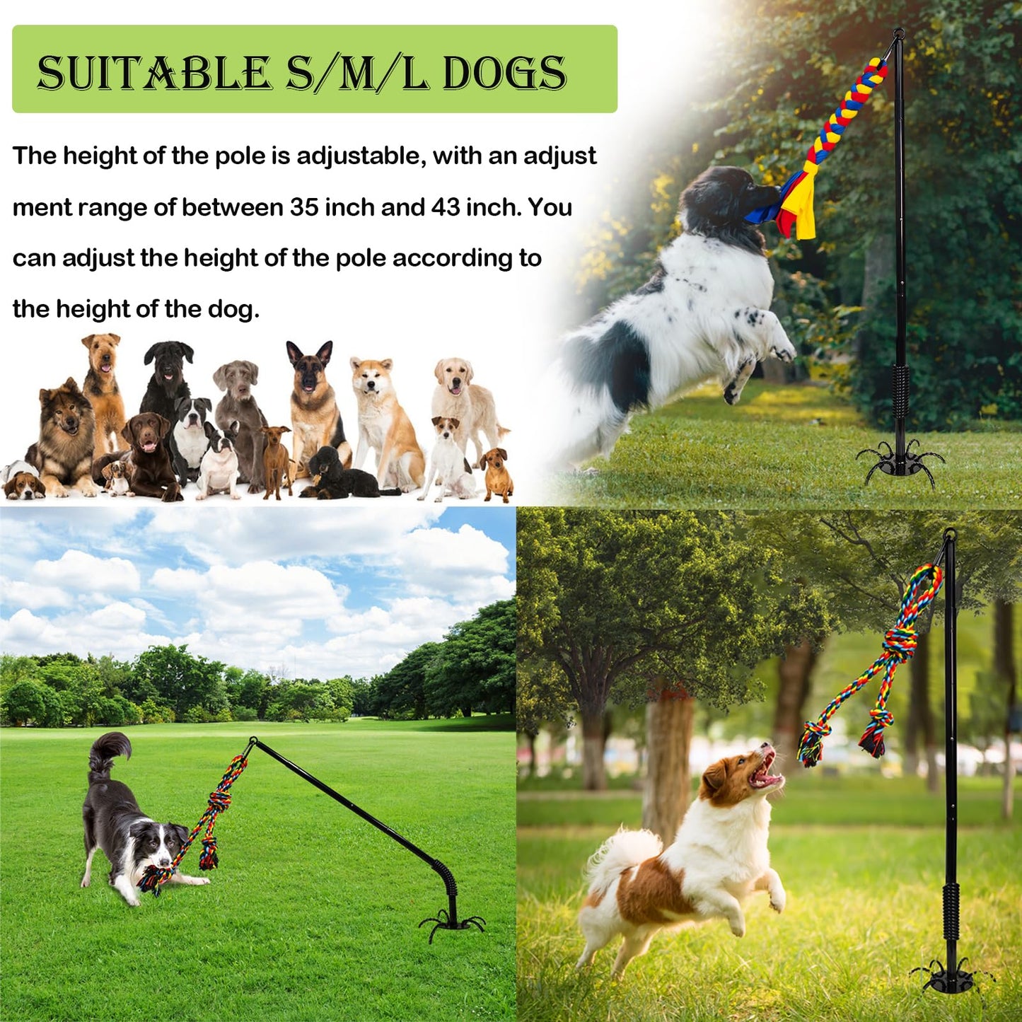 SYOOY Outdoor Interactive Dog Toys,Tether Tug Outdoor Dog Toy Exercise Equipment in Yard Park with 2 Rope Toy for Large Medium Small Dogs Pull Chase and Tug of War