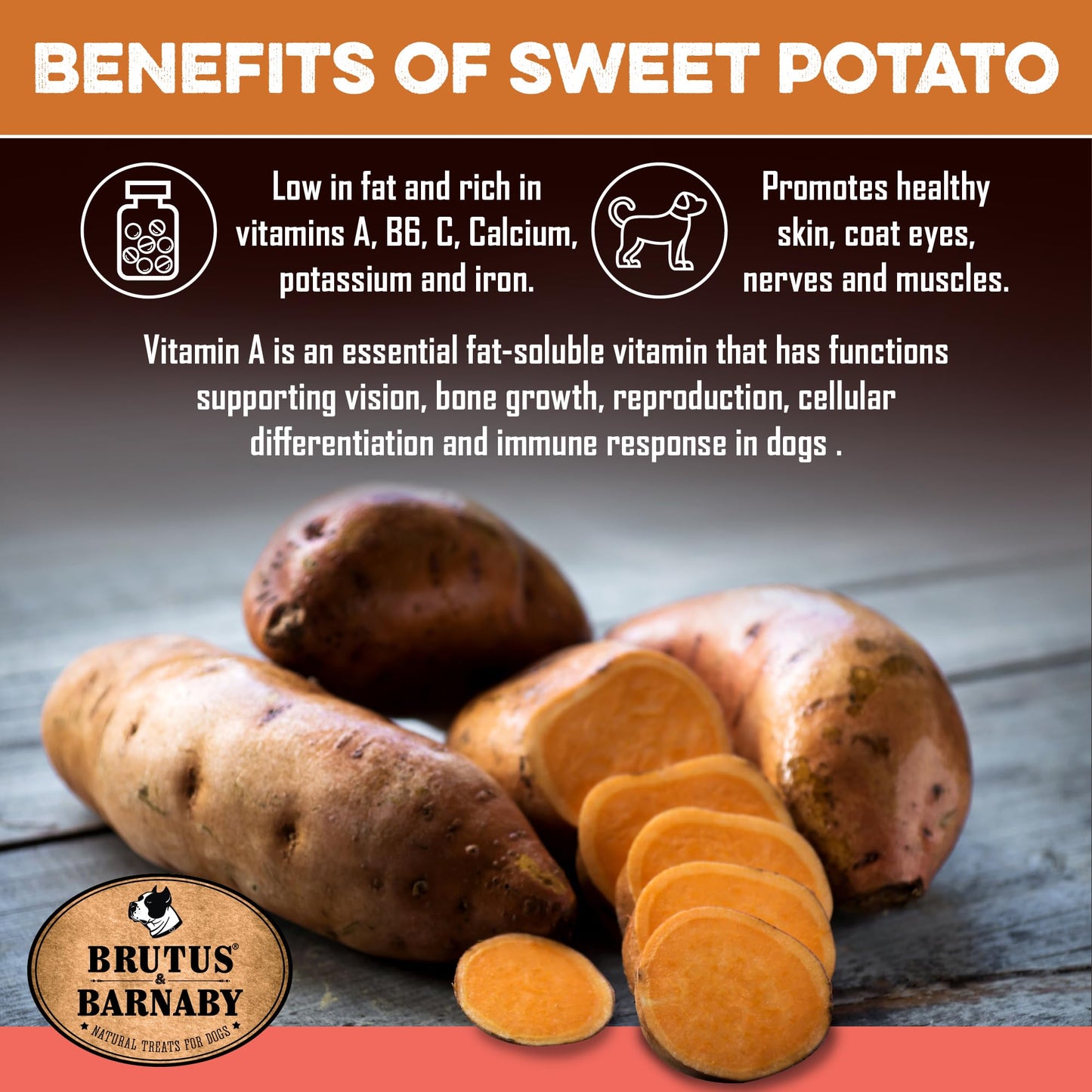 Sweet Potato Dog Treats - Grain Free, Salmon & Kelp Crunchy Sticks - Great Tasting, Promotes Positive Dog Gut Health with Natural Anti-Diarrhea Properties, No Preservatives Added (2lb Bag)