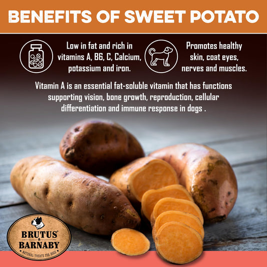 Sweet Potato Dog Treats - Grain Free, Salmon & Kelp Crunchy Sticks - Great Tasting, Promotes Positive Dog Gut Health with Natural Anti-Diarrhea Properties, No Preservatives Added (2lb Bag)