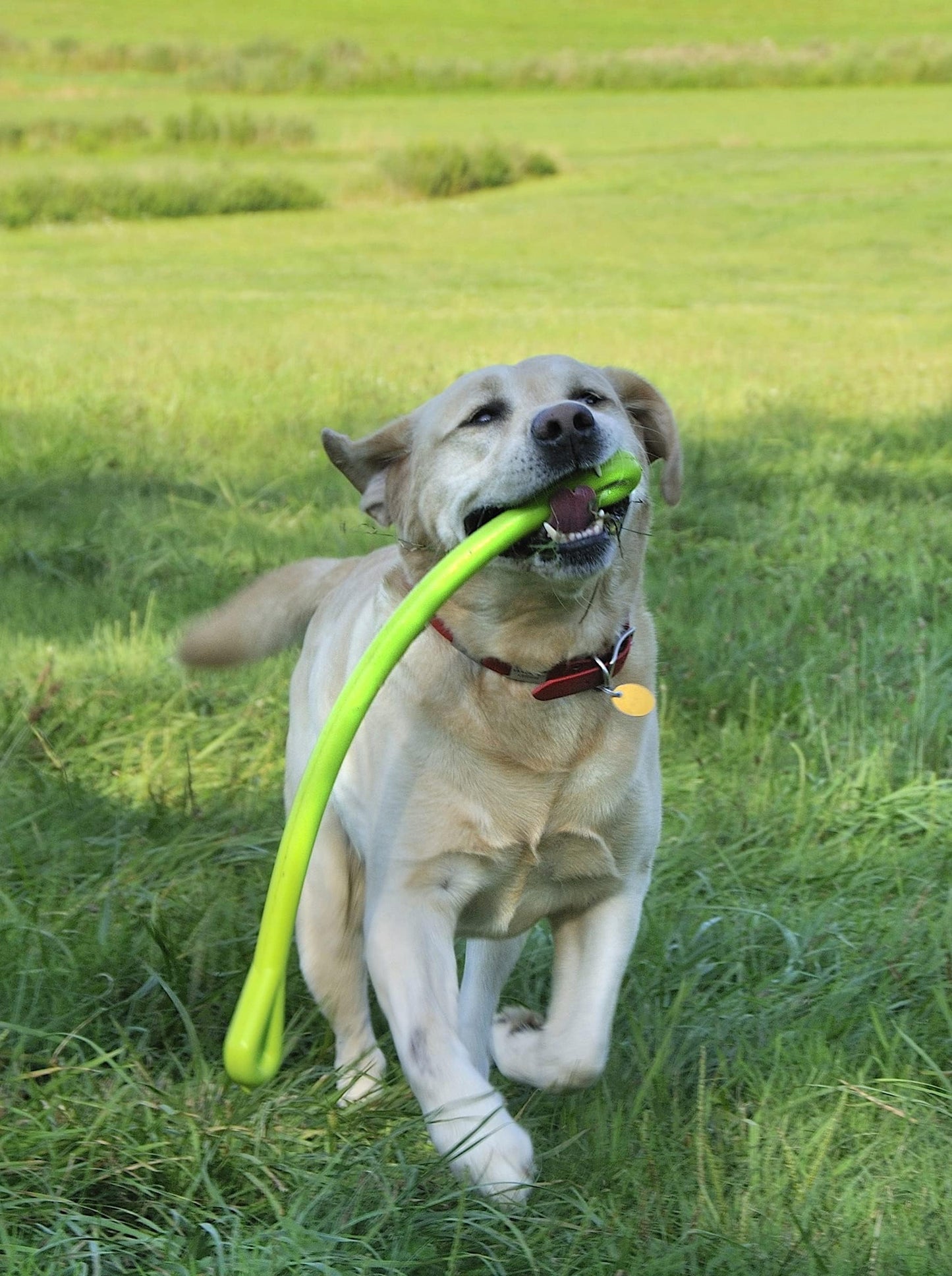 Jersey Dog Co. Perfect Tug Dog Tug of War Dog Toy, Safe Puppy Chew Toys, Made in The USA Rubber-Free Toy 24” Long