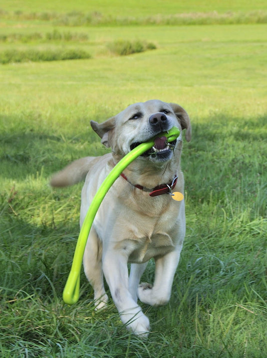 Jersey Dog Co. Perfect Tug Dog Tug of War Dog Toy, Safe Puppy Chew Toys, Made in The USA Rubber-Free Toy 24” Long