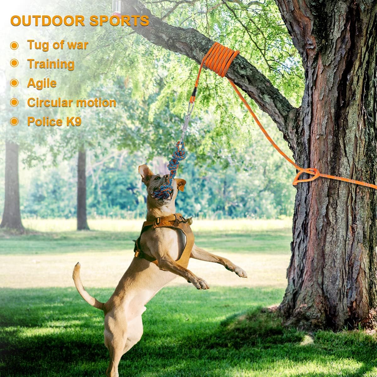 Storystore Dog Tug Toy Dog Training Bite Pillow Jute Bite Toy - Best for Tug of War, Puppy Training Interactive Play - Interactive Toys for Small and Medium Dogs (Orange)