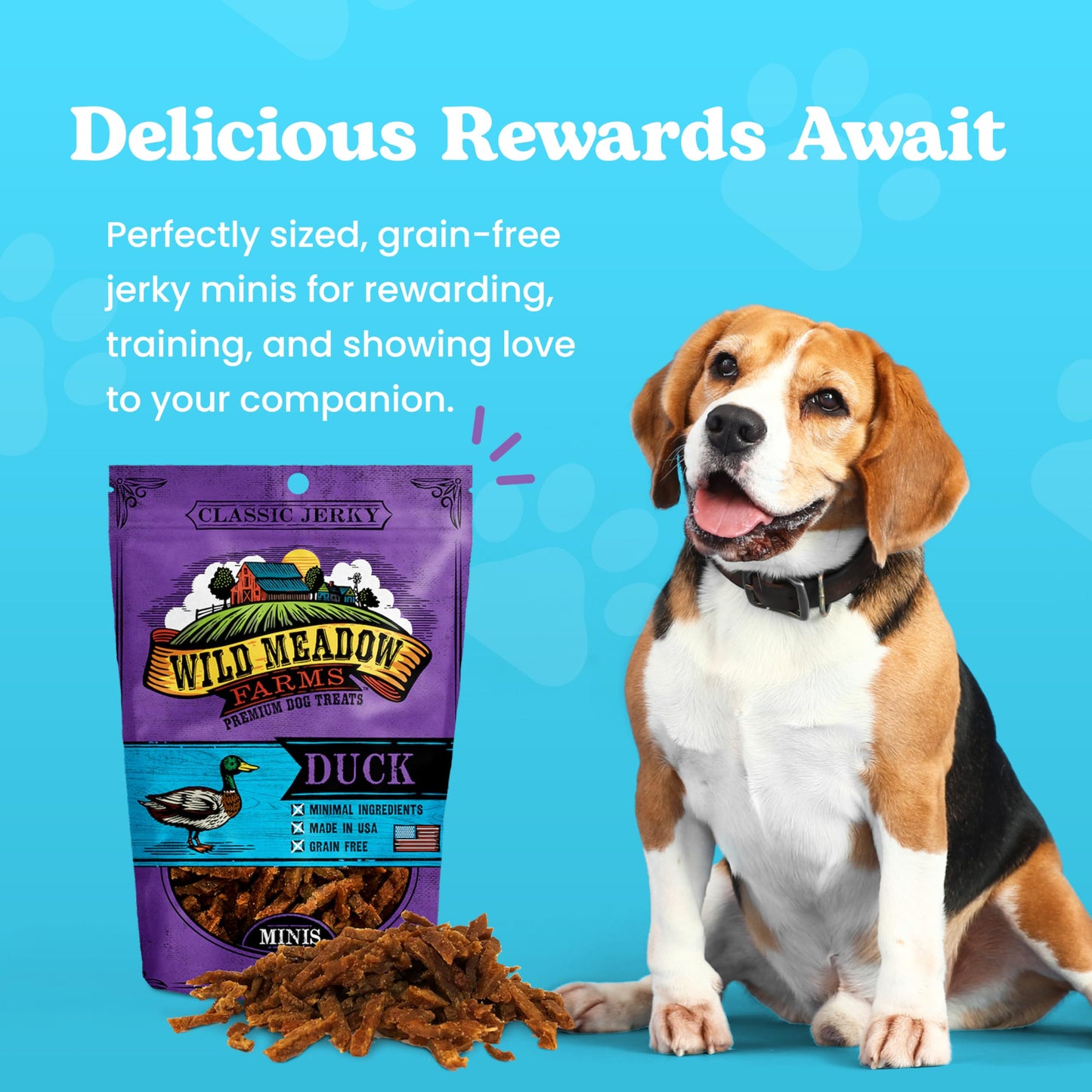 Wild Meadow Farms - Classic Duck Minis, Soft Jerky Training Treats for Dogs, Grain-Free, All-Natural & Perfectly Sized for Training, High-Value Rewards in a Convenient 3.5 Ounce Pouch