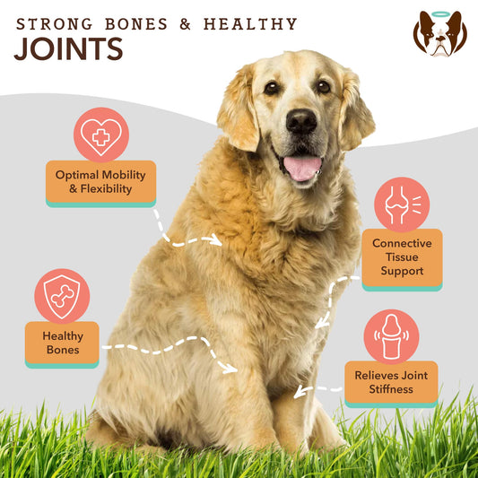Natural Dog Company Healthy Joints Bundle, Includes (1) Wild Alaskan Salmon Oil - 16 oz., (1) Hip and Joint Chews Supplement - 90 pcs, Vitamins for Dogs, Fish Oil for Dogs