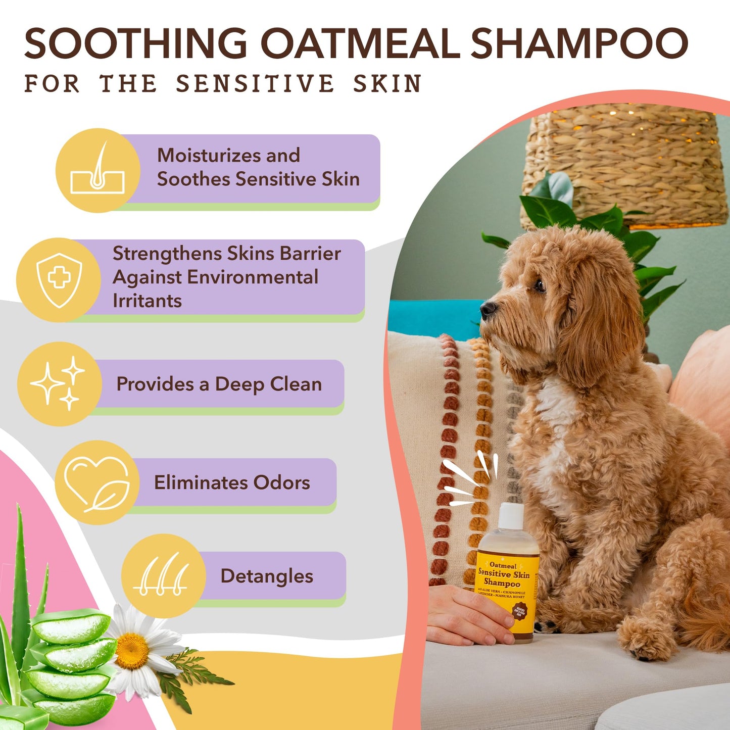 Natural Dog Company Skin & Coat Chews (90-pcs) Bundle with Sensitive Oatmeal Shampoo (12 oz) | Daily Supplement with Sensitive Shampoo | Gentle Cleaning for Healthier and Coats