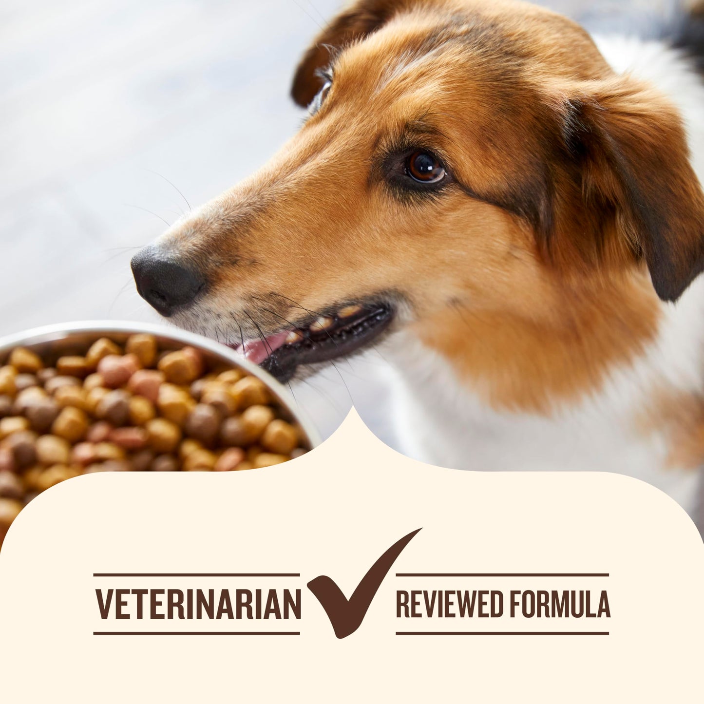 Nutrish Dry Dog Food, Turkey, Brown Rice & Venison Recipe for Weight Management, 5.5 Pounds